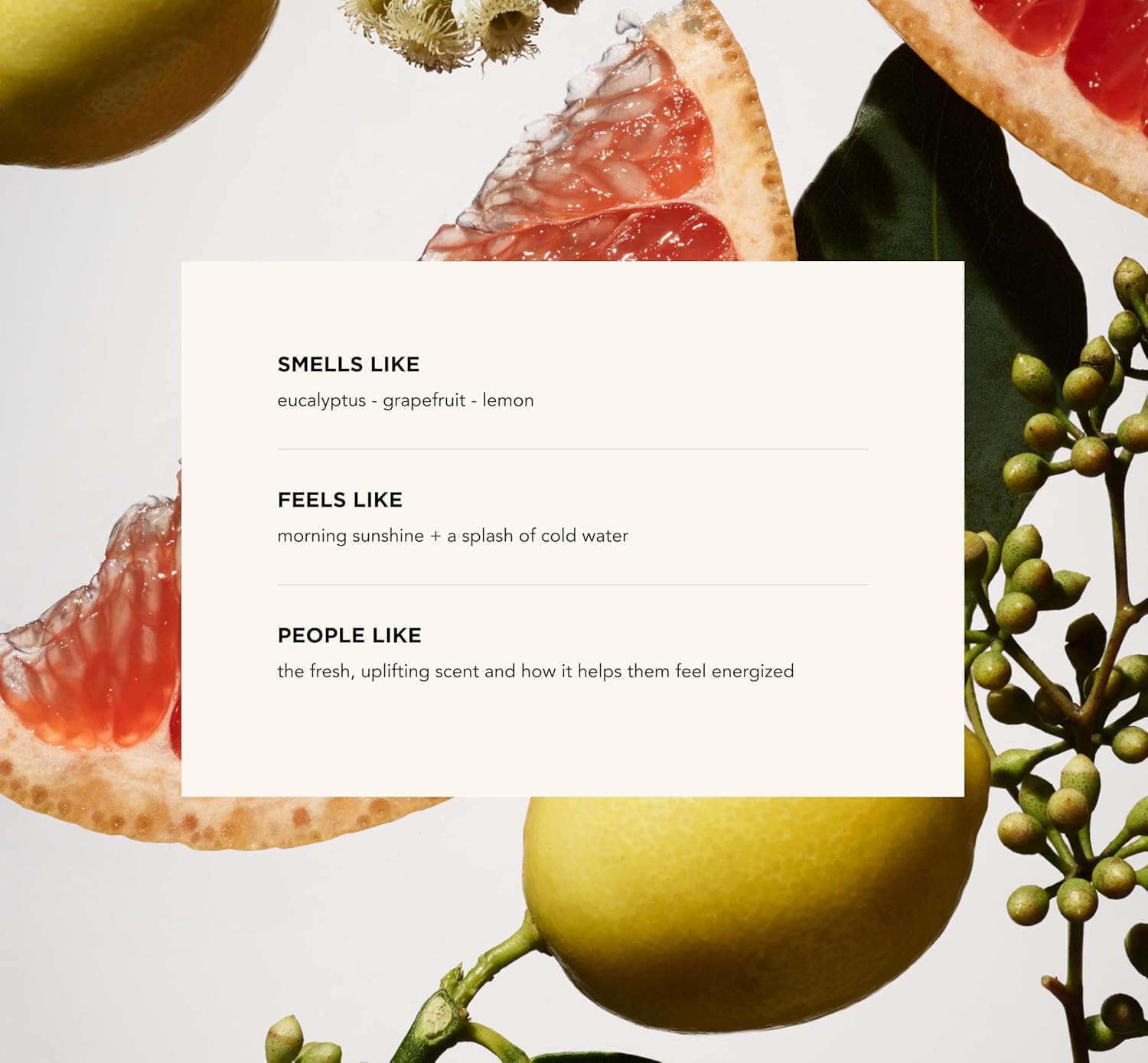 By Rosie Jane Wake Full Body Deodorant Spray - Aluminum Free Deodorant and Body Spray for Women & Men - Enriched with Eucalyptus, Grapefruit & Lemon - Suitable for Sensitive Skin (53ml) - Image 7