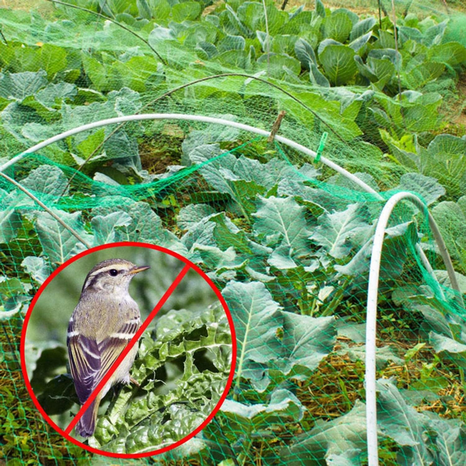 6x10m Bird Netting for Strawberry Plants Fruit Trees & Climbing Plants - Heavy-Duty Garden Trellis Protection for Fruits & Ponds Durable & Weather-Resistant