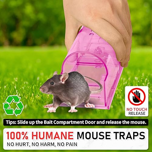 Miniatura 4 de LULUCATCH Trampas humanas para ratones, paquete de 2 trampas para ratones vivos, trampas para ratones de liberación de captura para interiores para
