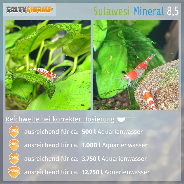 Foto 4 de 7 de SaltyShrimp Sulawesi Mineral 8,5 - 110g