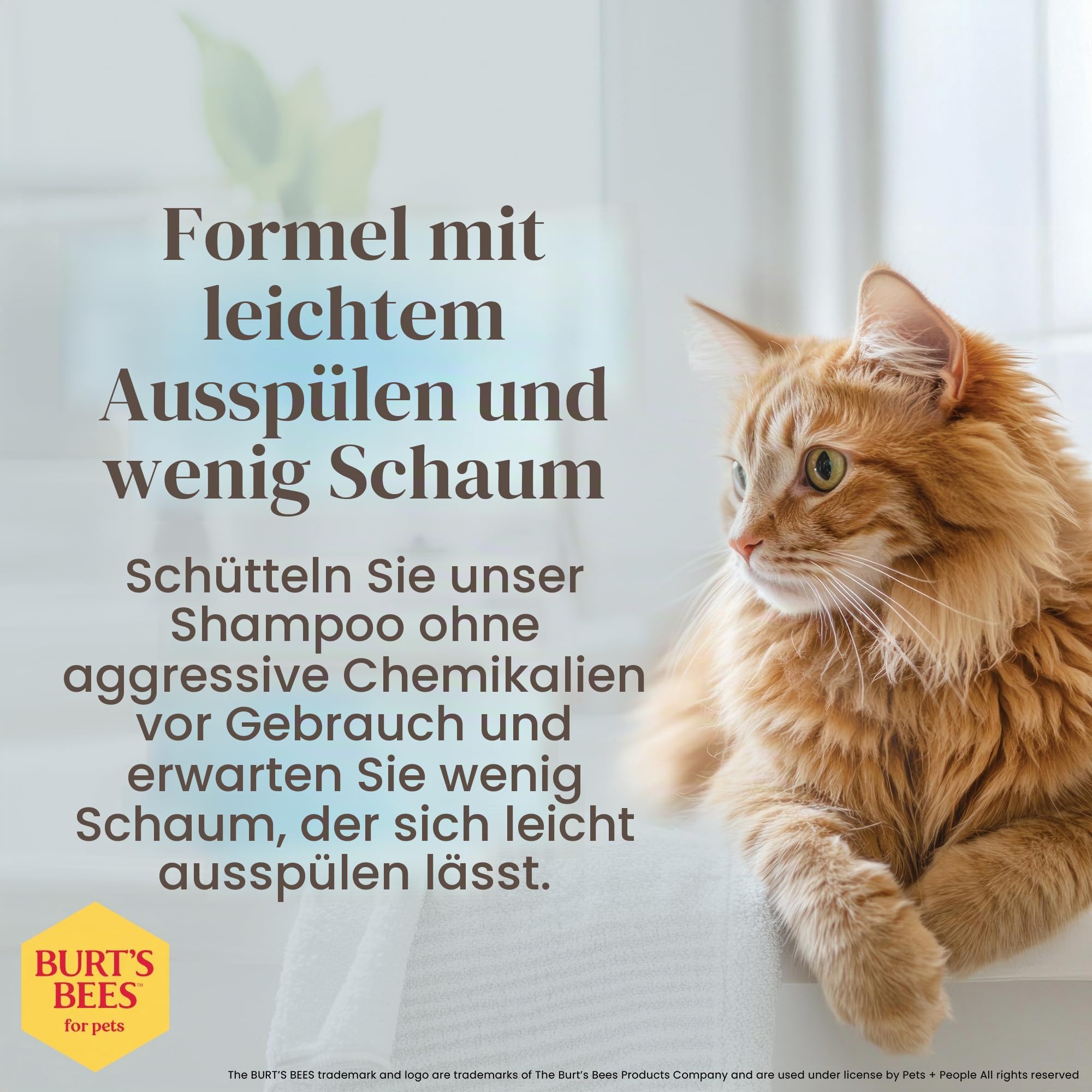 Burt's Bees Katzenshampoo, hypoallergen, mit natürlichen Inhaltsstoffen