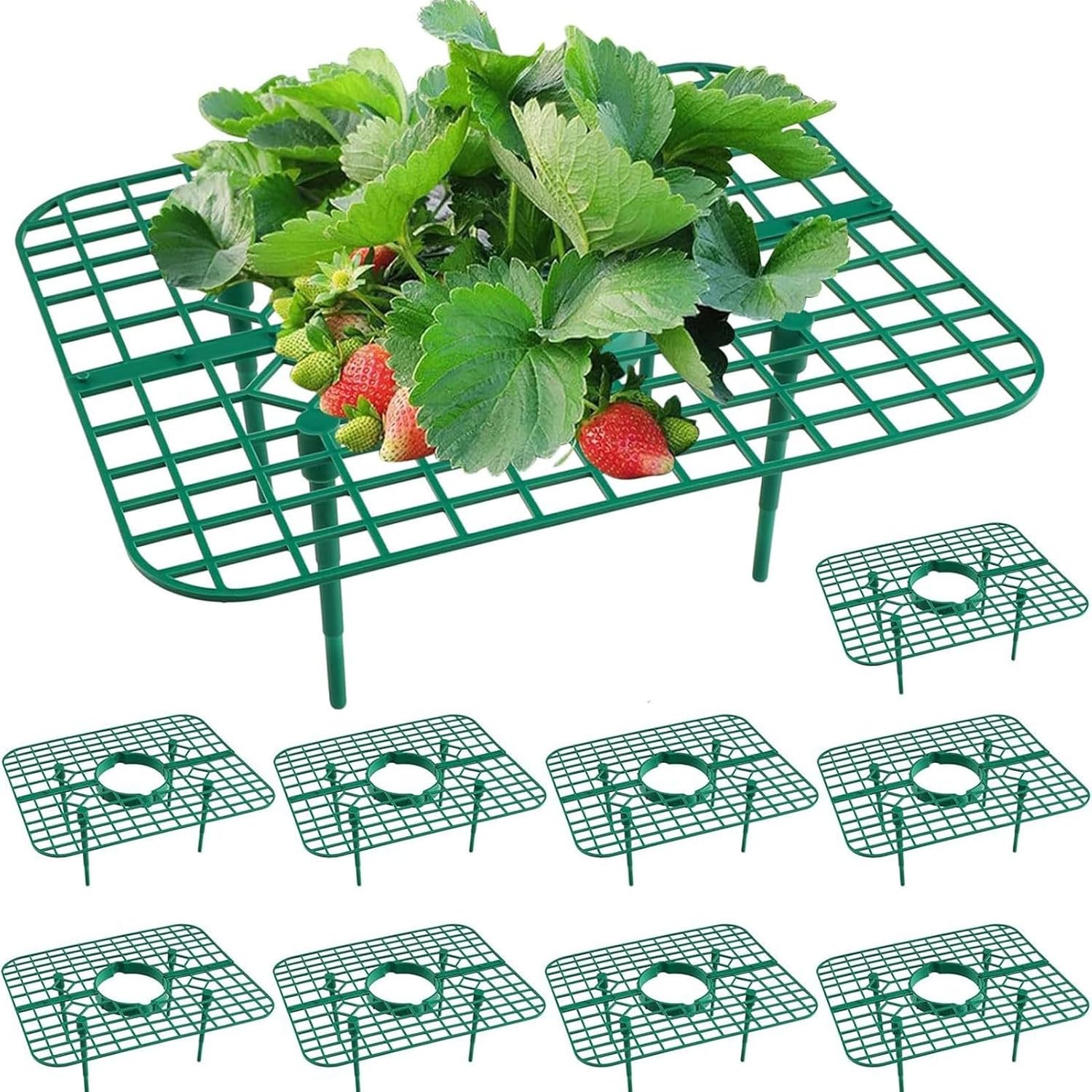 10PCS Strawberry Plant Support, Fruit Growing Frame Hollow Design Breathable Strawberry Growing Rack Plant Bracket for Orchard or Home Green