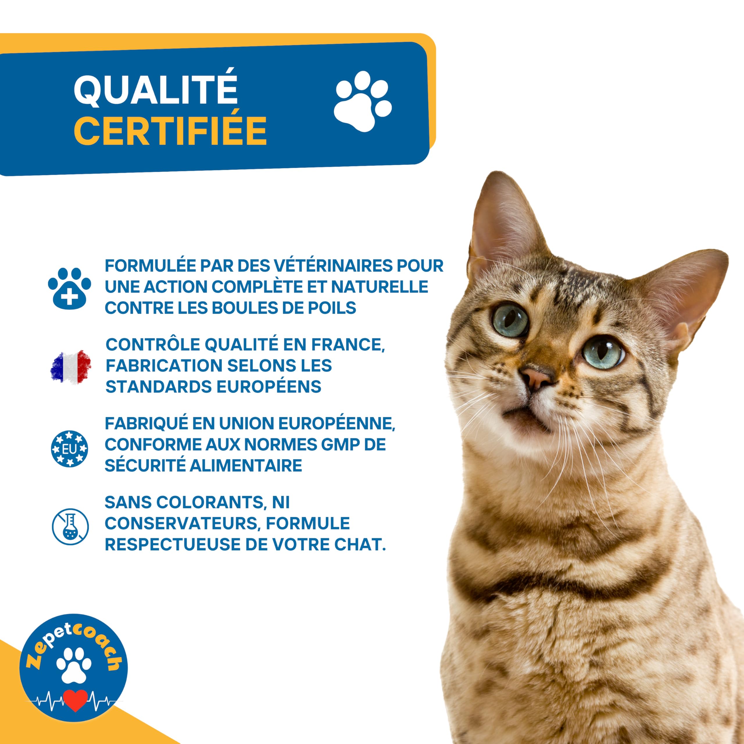 Complément Chat Anti Boules de Poils – Trichobézoards – Transit et Digestion Optimale – Constipation – Psyllium, Taurine, Chicorée – Naturel, Saveur Volaille – 250g