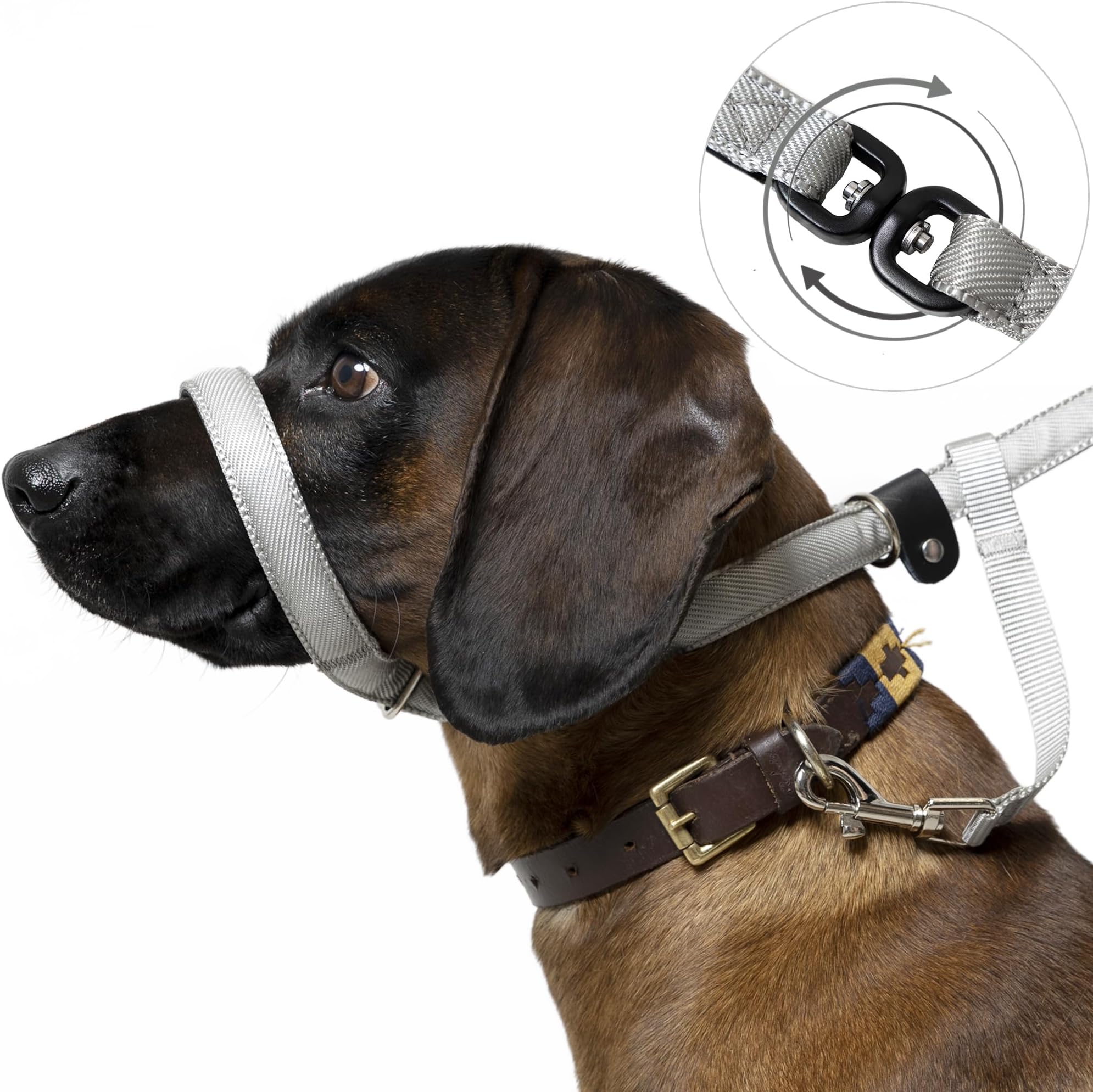 UniWalker Figure of 8 Training Lead for dogs that pull. With collar