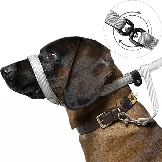 Total Pet Figure of 8 Dog Lead Flat with Anti Tangle Swivel Mechanism Anti Pull Stop Dogs Total Pet Figure of 8 Dog Lead Flat with Anti Tangle Swivel Mechanism Anti Pull Stop Dogs