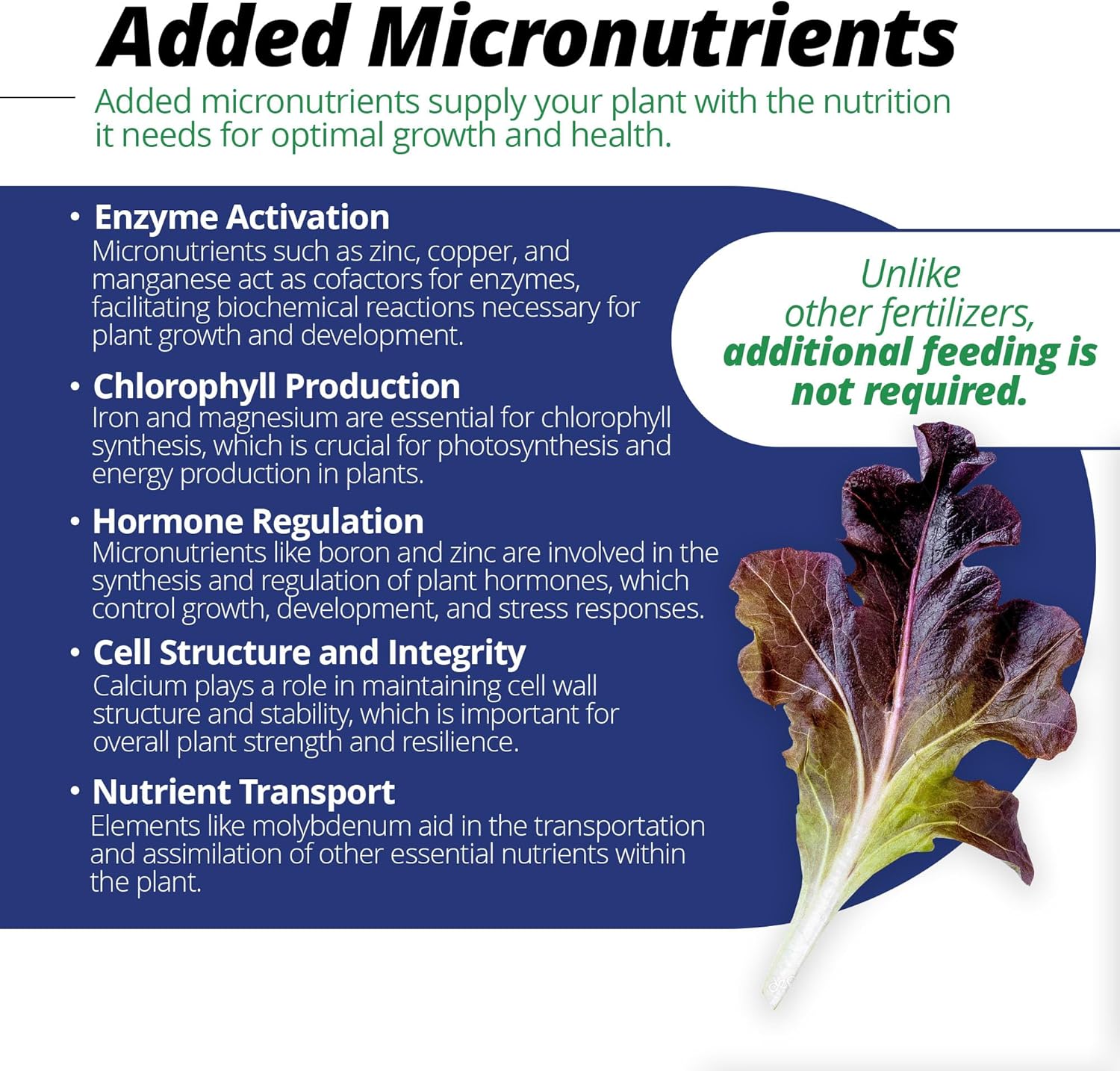 Jack's Professional 15-5-15 CA-MG LX Comprehensive Water-Soluble Fertilizer for Growth in Short, Stocky Plants Grown in Continuous Liquid Feed Programs, 25lbs