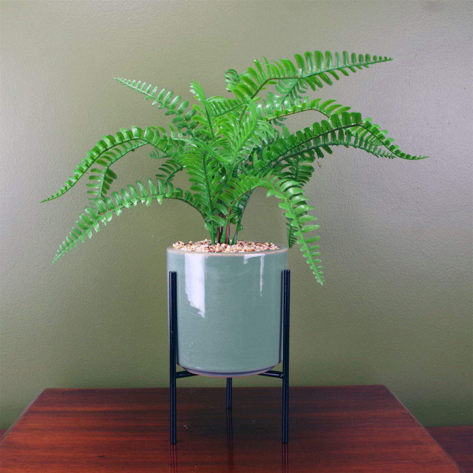 Botanik Premium Artificial Fern Grass