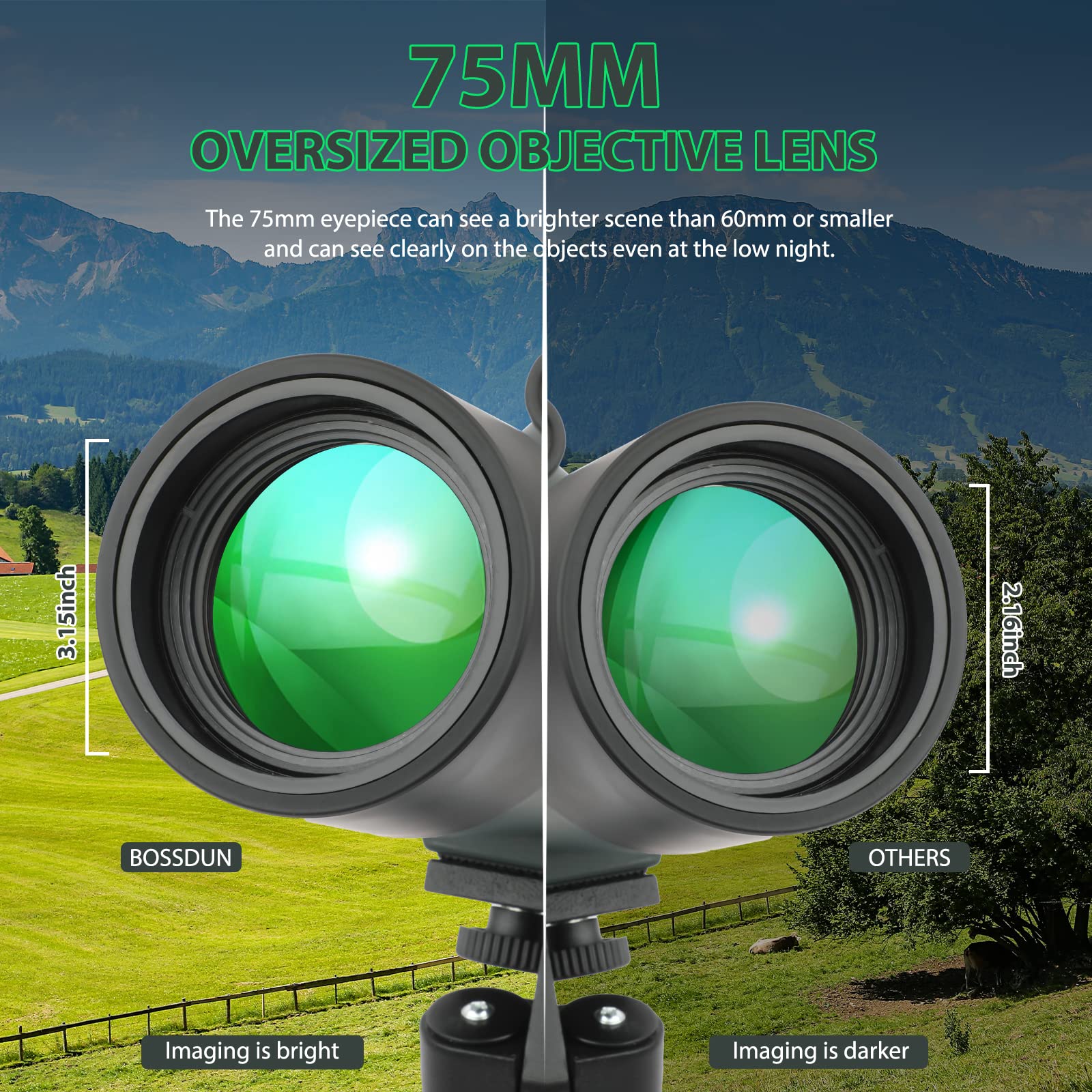 Cannocchiale con Treppiede, Borsa per il Trasporto e Adattatore per Smartphone, FMC Ottica Bak4 Prisma Telescopio Spotting Scope con Smartphone Adapter per Tiro a Segno Birdwatching Caccia (Green)