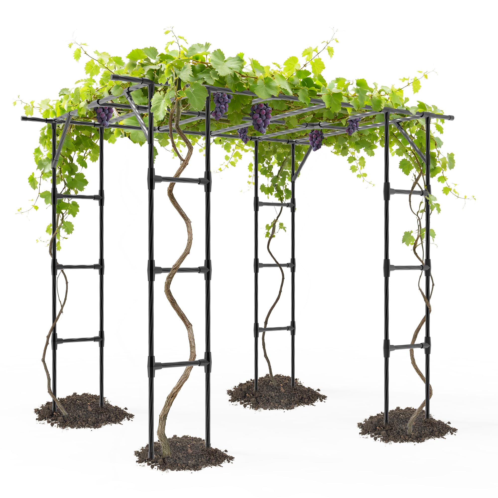 Photo 1 of Grape Vine Trellis - Cucumber Trellis Size: 95.7 * 61.6 * 78.5 inches - Large Outdoor Garden Arch Trellis, Used for Outdoor Climbing of Plants, Courtyard and Garden Decoration (Leg spacing 80")