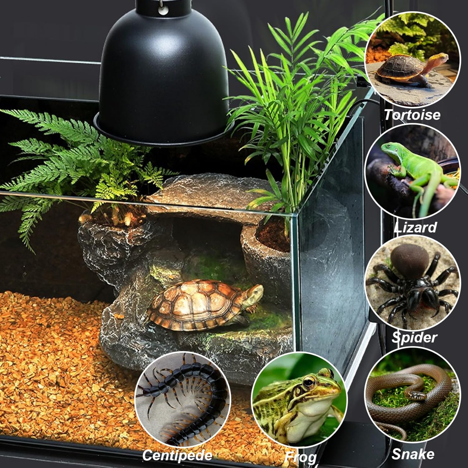 Reptile Lamp Stand Detachable & Extendable Metal Aquarium Light Riser with Hook and Stand Width Height Adjustable for Amphibian Terrarium Aquarium Tank|Terrarium Heat Lamps Mats