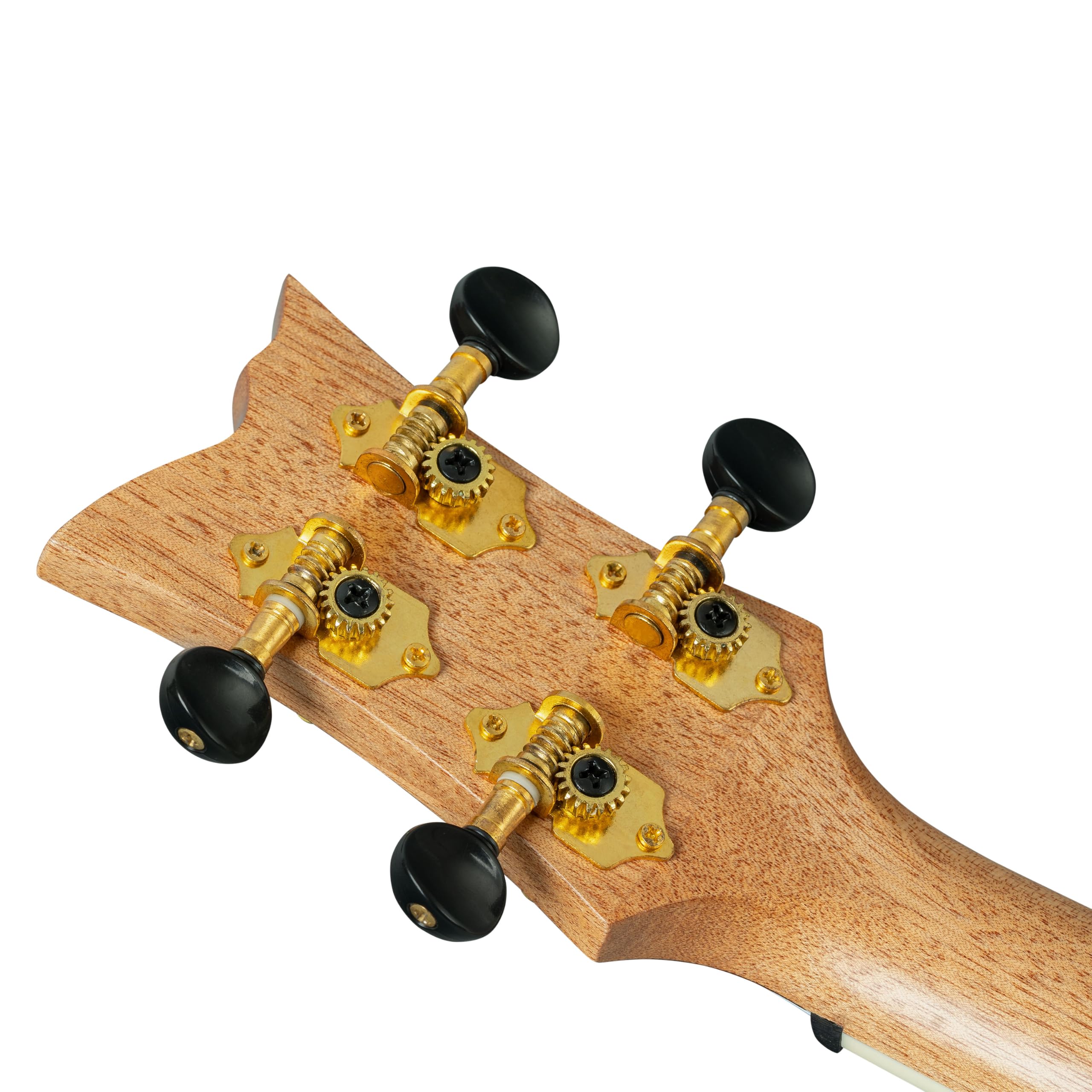 Ortega Guitars Tenor Ukulele Akustisch – Ghost Series – Inklusive Gigbag – Fichte, Schwarz (RUGH-BKT)