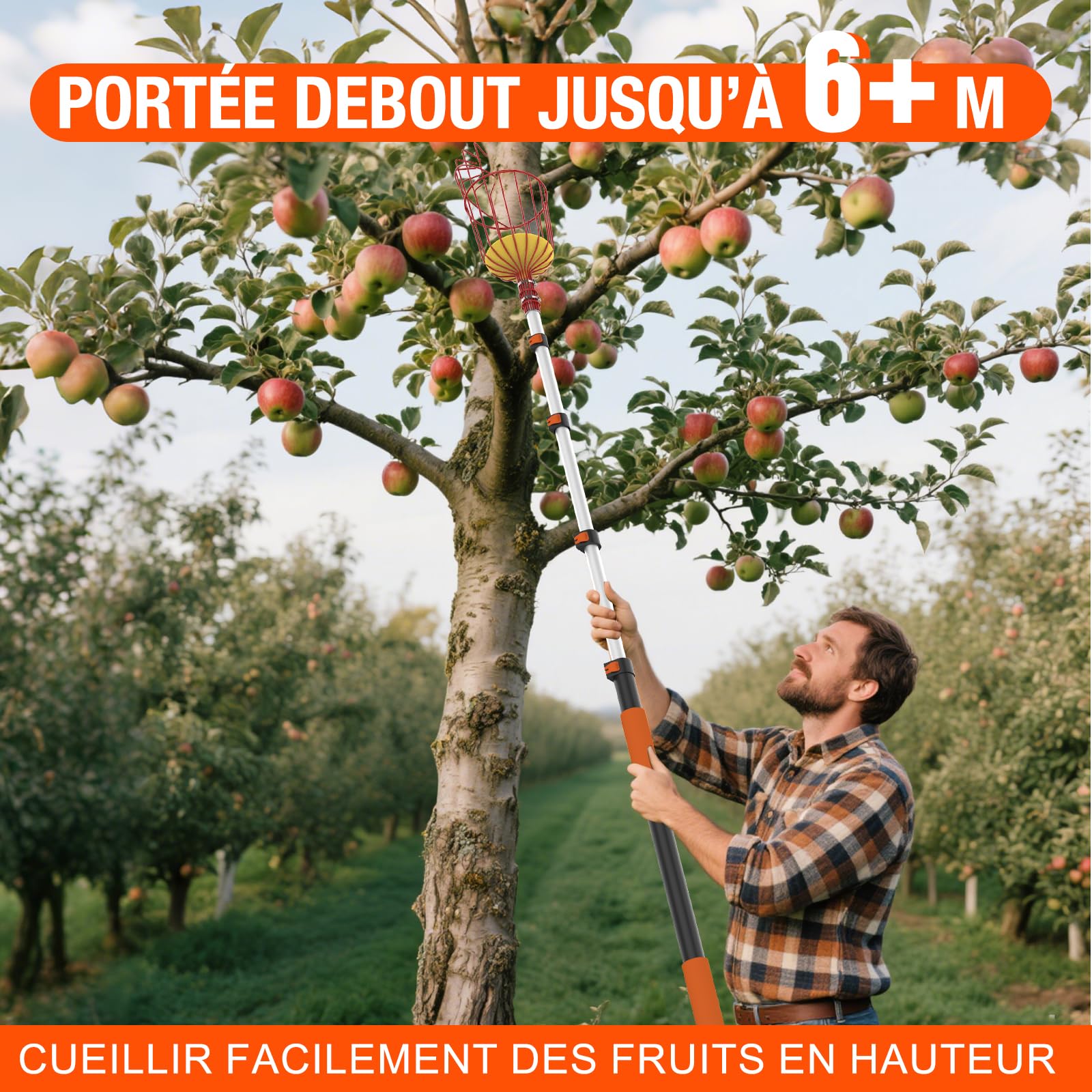 LAANPOLE Cueille Fruit Telescopique 6m avec Grand Panier de Cueillette pour Pommes, Oranges, Citrons