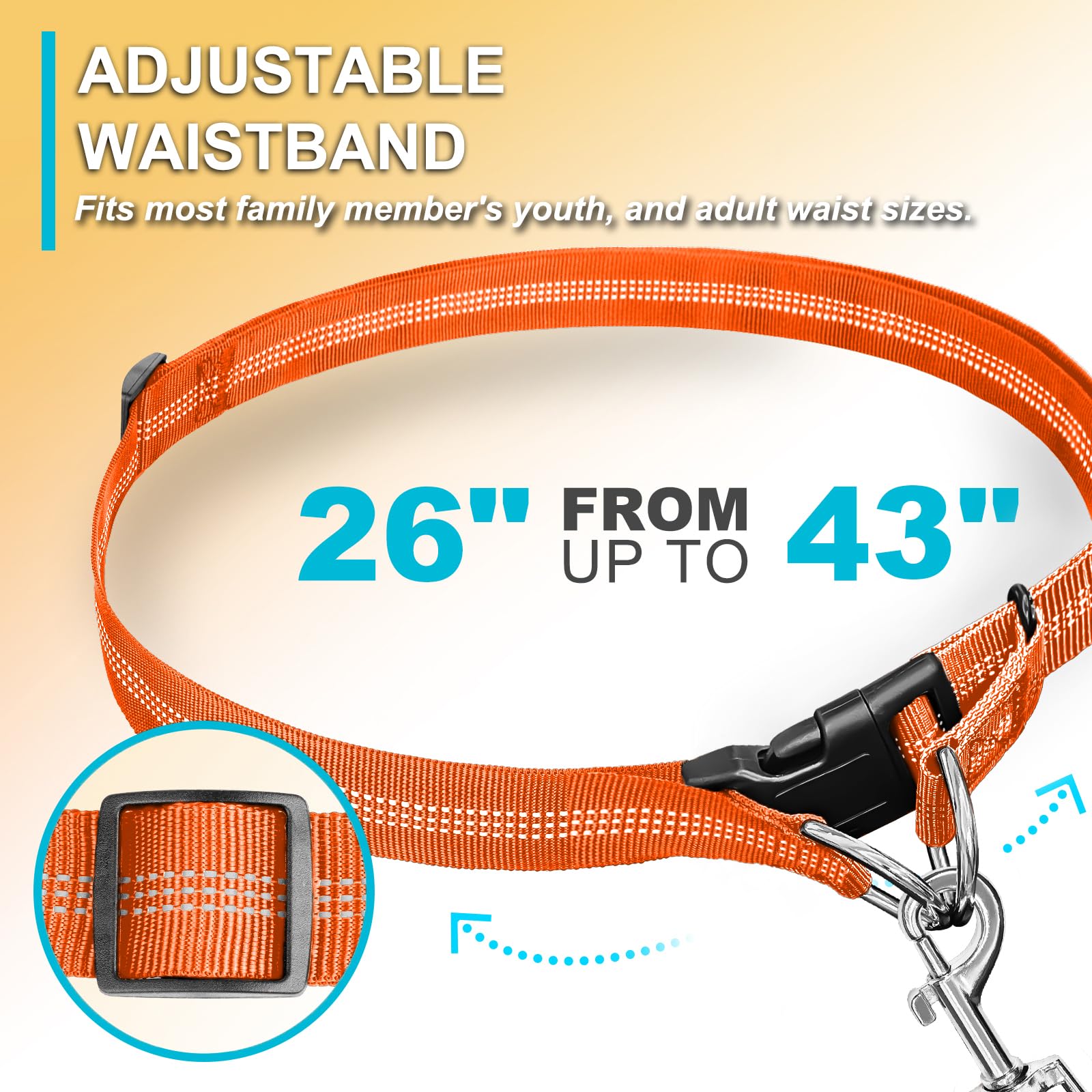 Hands Free Dog Leash, Adjustable Waist Leash for Dog Walking, Dual Bungee 4.2-6.7 Feet Long with Reflective Stitches for Walking Hiking Running, Fits 26"- 43" Inch Waist, Orange - image 2