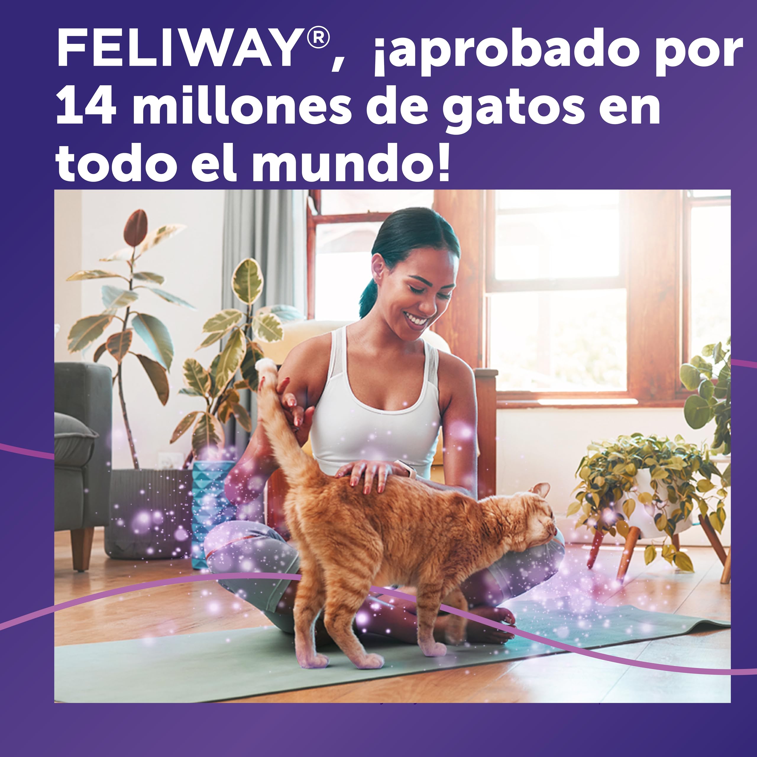 FELIWAY Classic Spray - Feromonas calmantes para gatos (60ml). Reduce los marcajes con orina y el estrés durante los viajes en transportín. Recomendado por veterinarios.