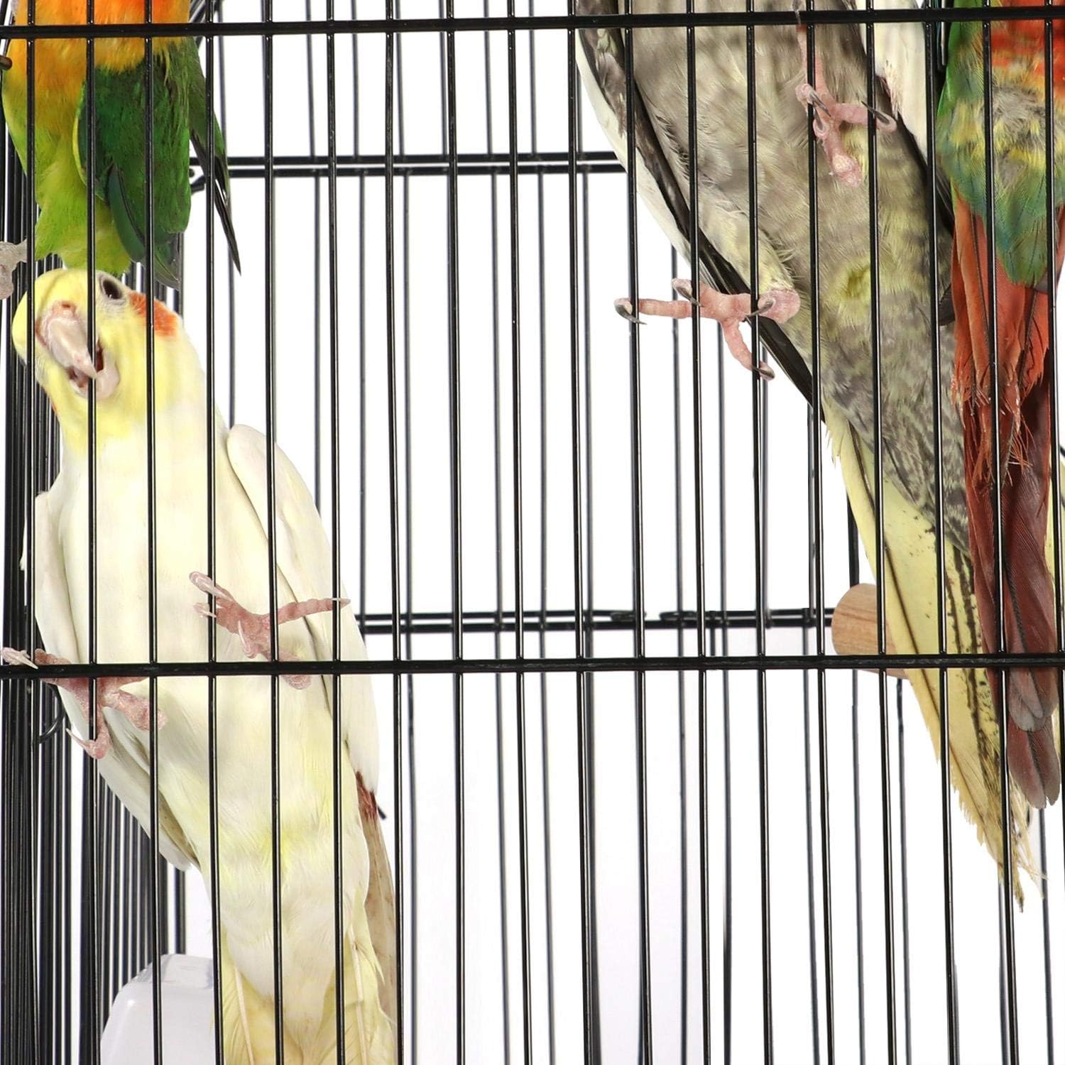 Yaheetech 53.5" Medium Open Play Top Bird Cages for Parrots Cockatiels Conures Flight Bird Cage Birdcage Pet House with Detachable Rolling Stand : Pet Supplies
