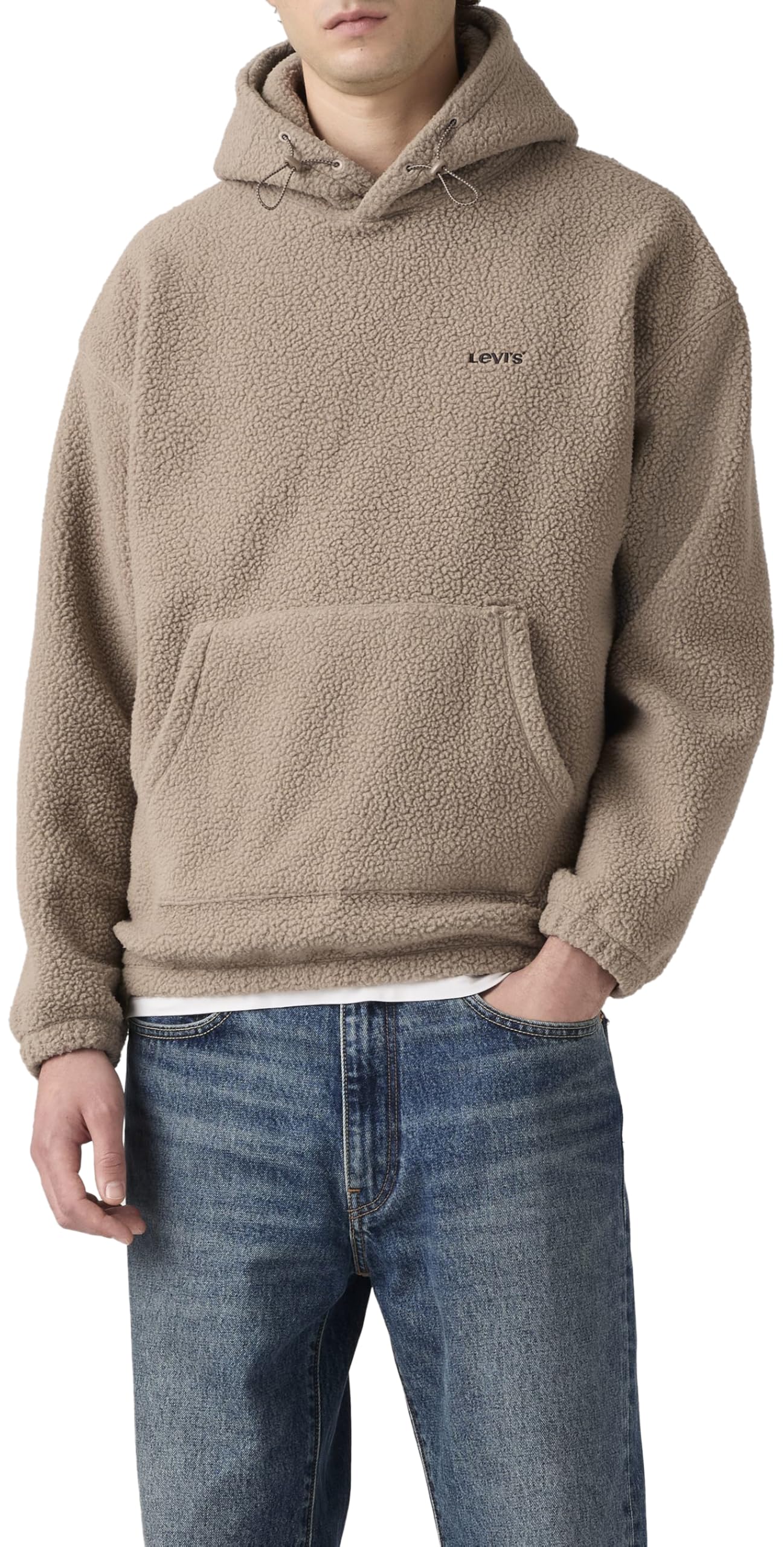 Levi's Męska bluza z kapturem Cozy Up, Fungi, M