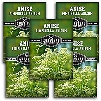 Vista 11 de Survival Garden Seeds - 1 Pack Anise Seed for Planting with Instructions to Grow Aniseed in Your Home Herb Garden - Non-GMO Heirloom - Medicinal and