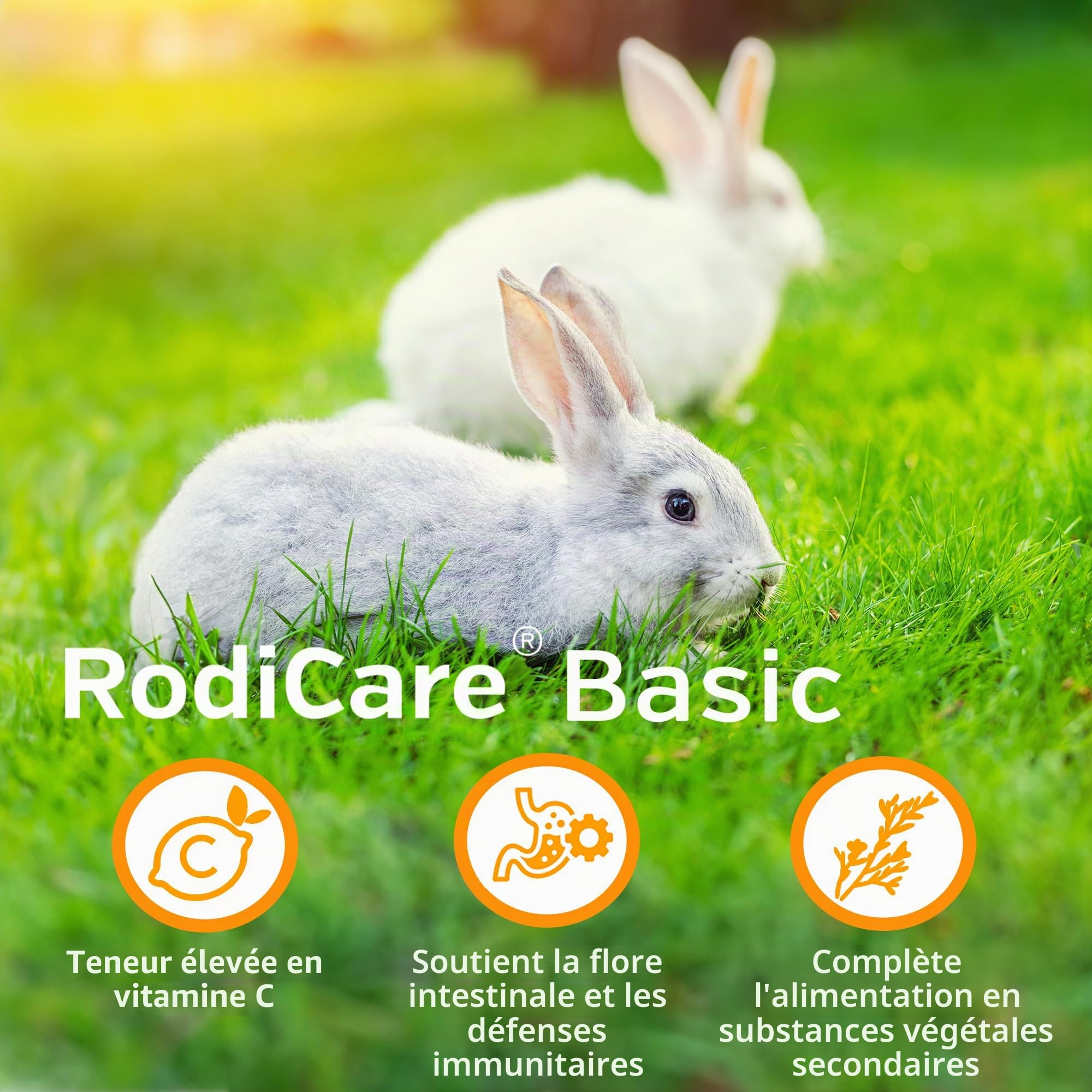 alfavet RodiCare Basic, granulés aux Herbes, Riches en Fibres brutes, complément Alimentaire pour cochons d'Inde et Lapins, Seau de 4 kg