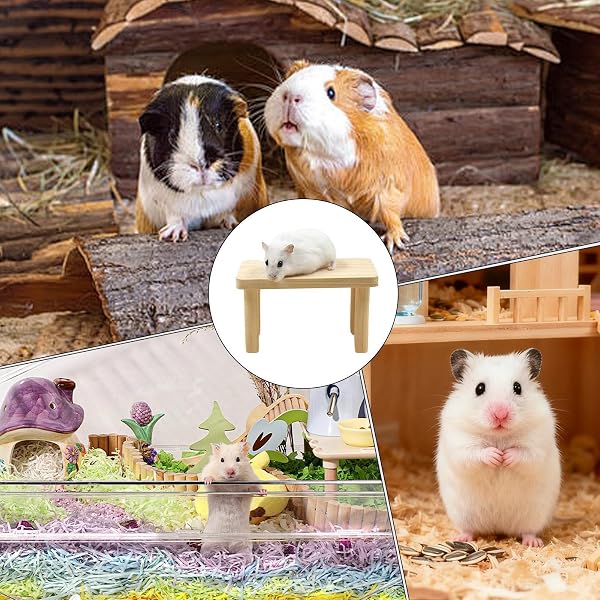 Supporto per criceti, giocattolo per criceti, furetti, per piccoli animali in legno, per topi pappagalli, , degu, furetti, scoiattoli, cincillà - 5