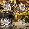 Product Photo 8