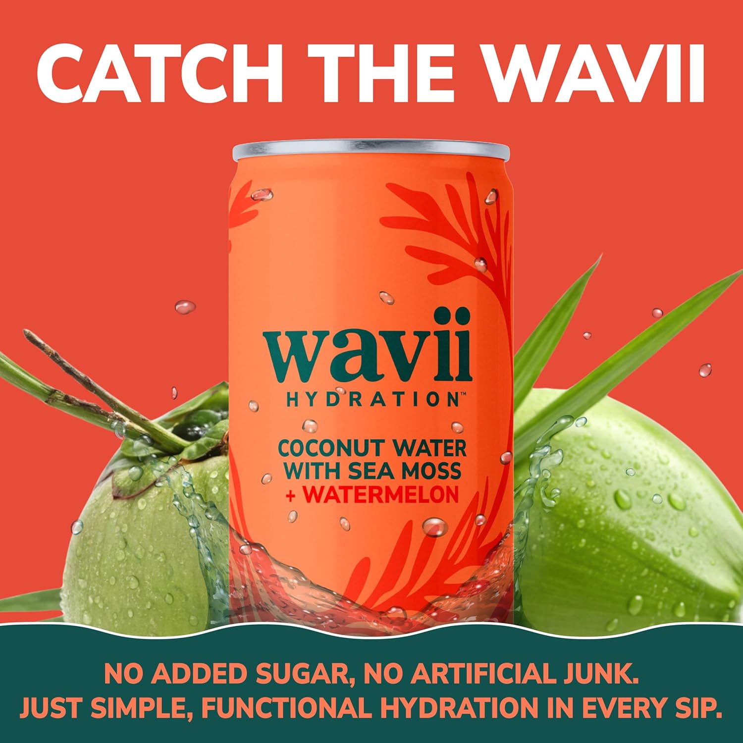 Wavii Hydration Organic Coconut Water with Organic Sea Moss plus Watermelon, 11 fl oz Cans, Pack of 12 – Clean Refreshing Hydration with Naturally Occurring Electrolytes, No Added Sugar, Non-GMO - Image 3