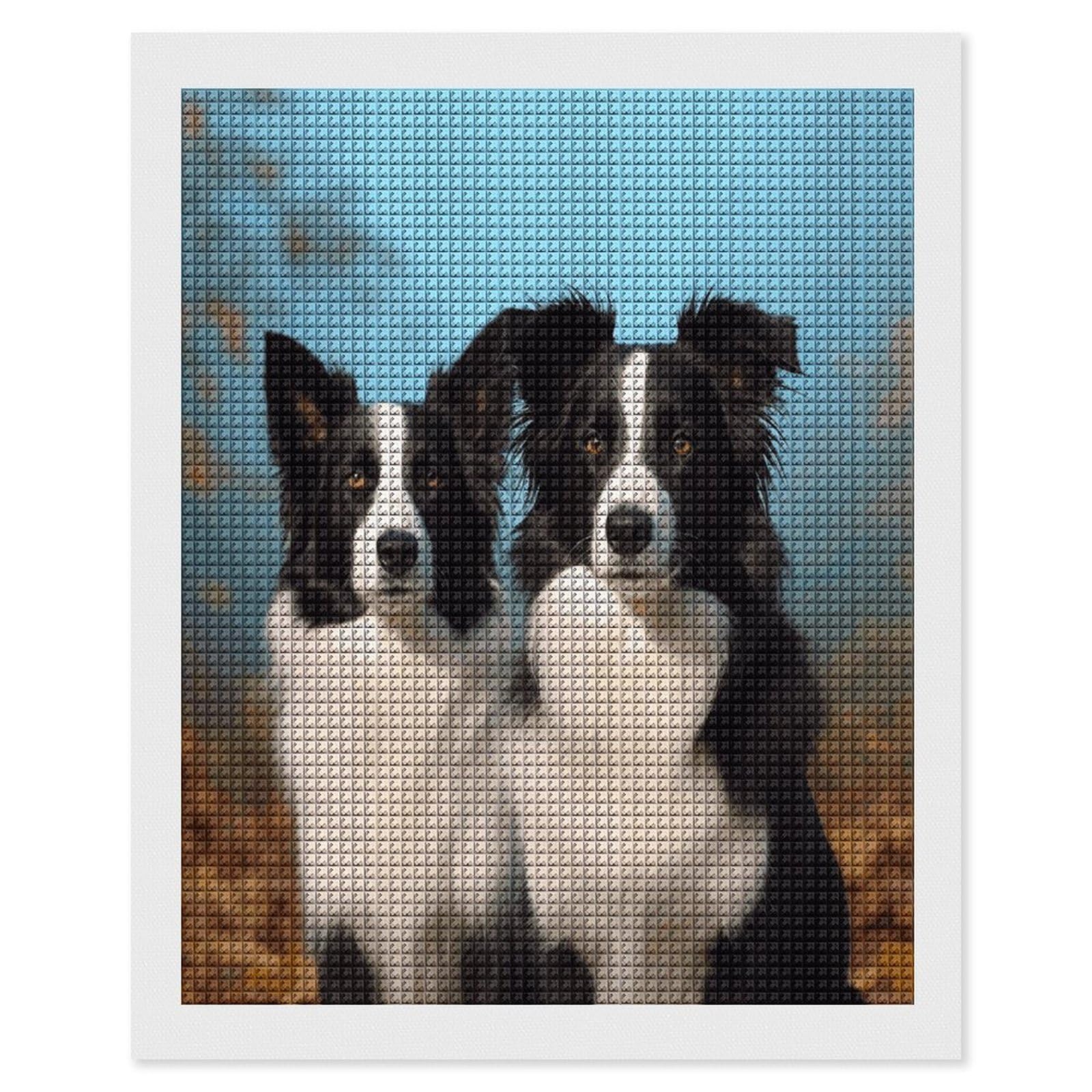 FodPand Border Collie Diamond Painting Kit for Beginner Fun 5D DIY Crafts for Adults Diamond Art Kits Square Diamond Art Canvas Painting Gem Art Crafts for Home Wall Decor 16"x20"