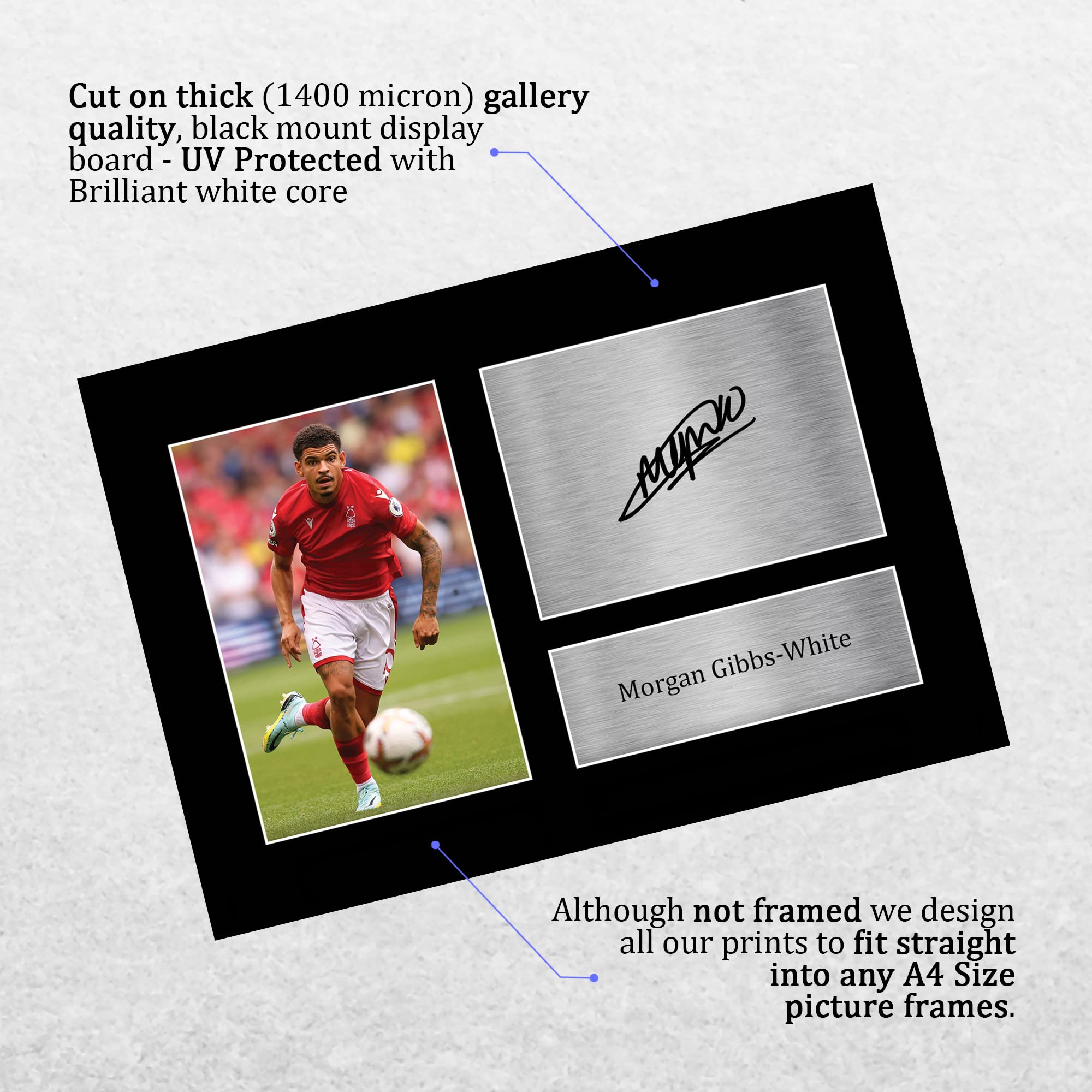 Amazon.co.jp: HWC Trading A4 モーガン・ギブス - ホワイト