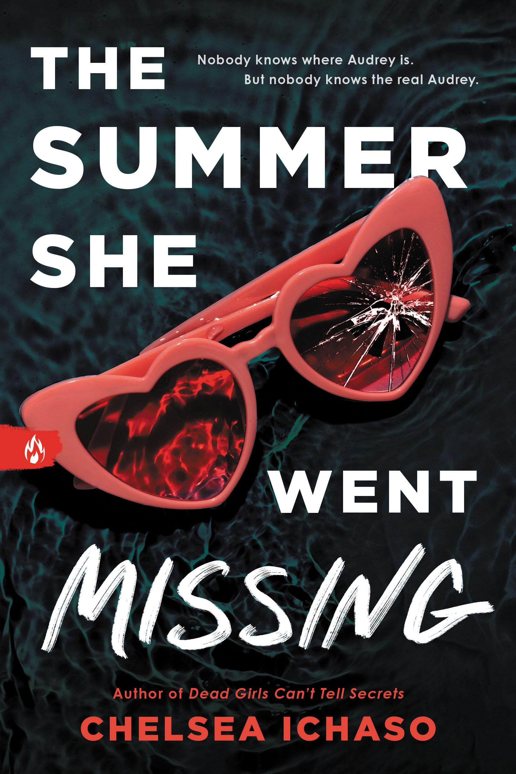 Sourcebooks Explore The Summer She Went Missing