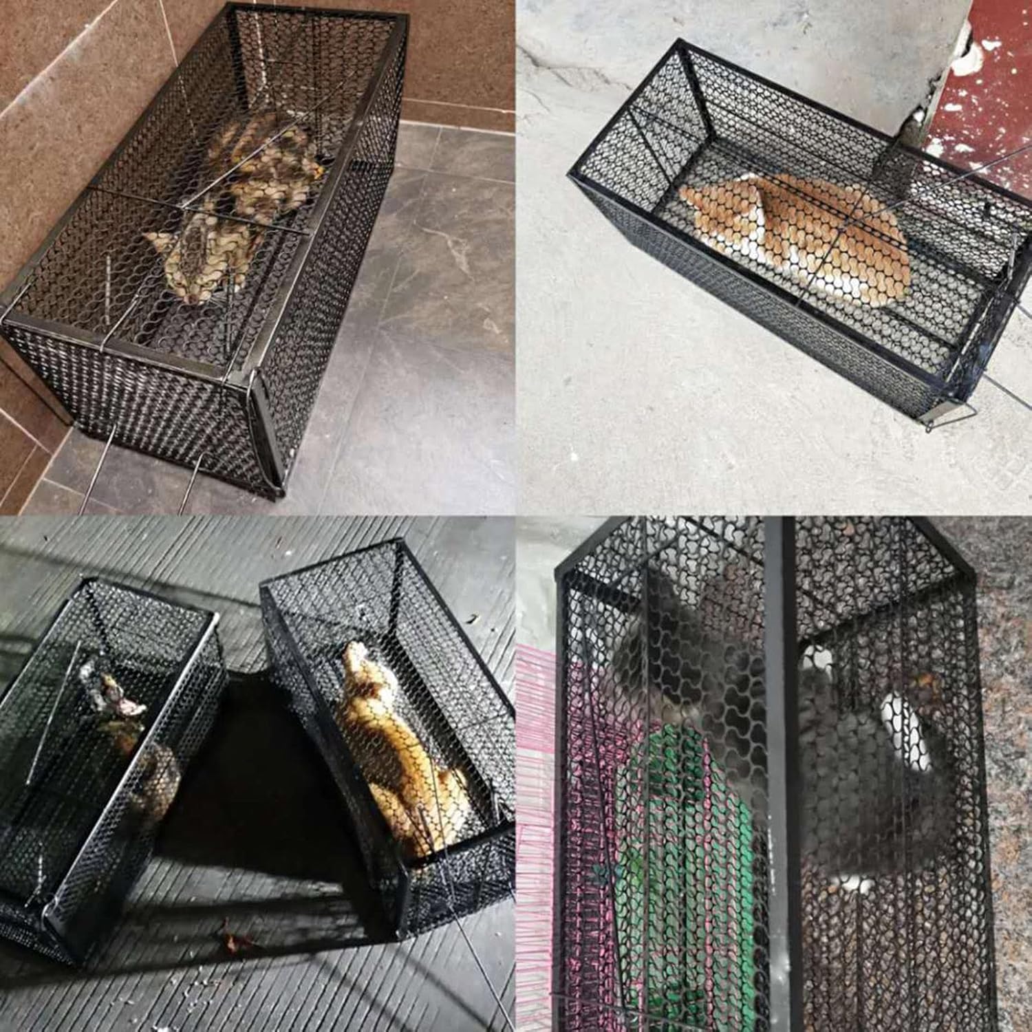 Pułapka na zwierzęta Klatka na króliki - Pułapka na koty dla bezpańskich kotów, Humanitarna pułapka na zdziczałe koty Odporna na rdzę i trwała dla gospodarstw, ogrodów, ogrodów przydomowych,