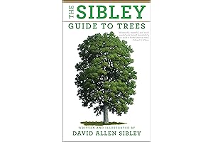 Mark-eye with Bruce Brown Film Cataloguetidbit tree