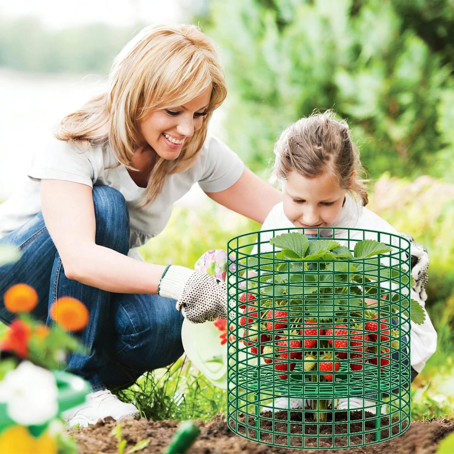 5 Sets Strawberry Plant Support with Wire Plant Protectors, 12.9"x 11.8" Wire Plant Cages and Strawberry Growing Racks, Animal Protection for Strawberry Tomato Garden Vegetables Plants