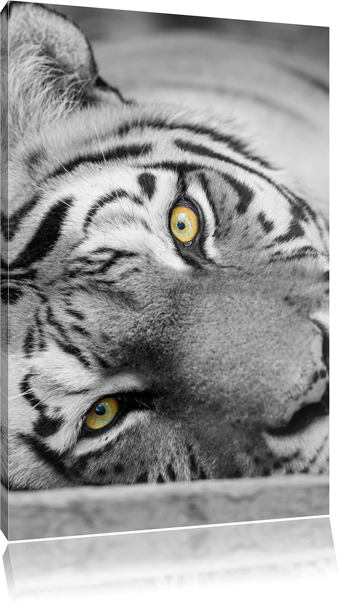 PixxprintColourful Canvas Wall Art