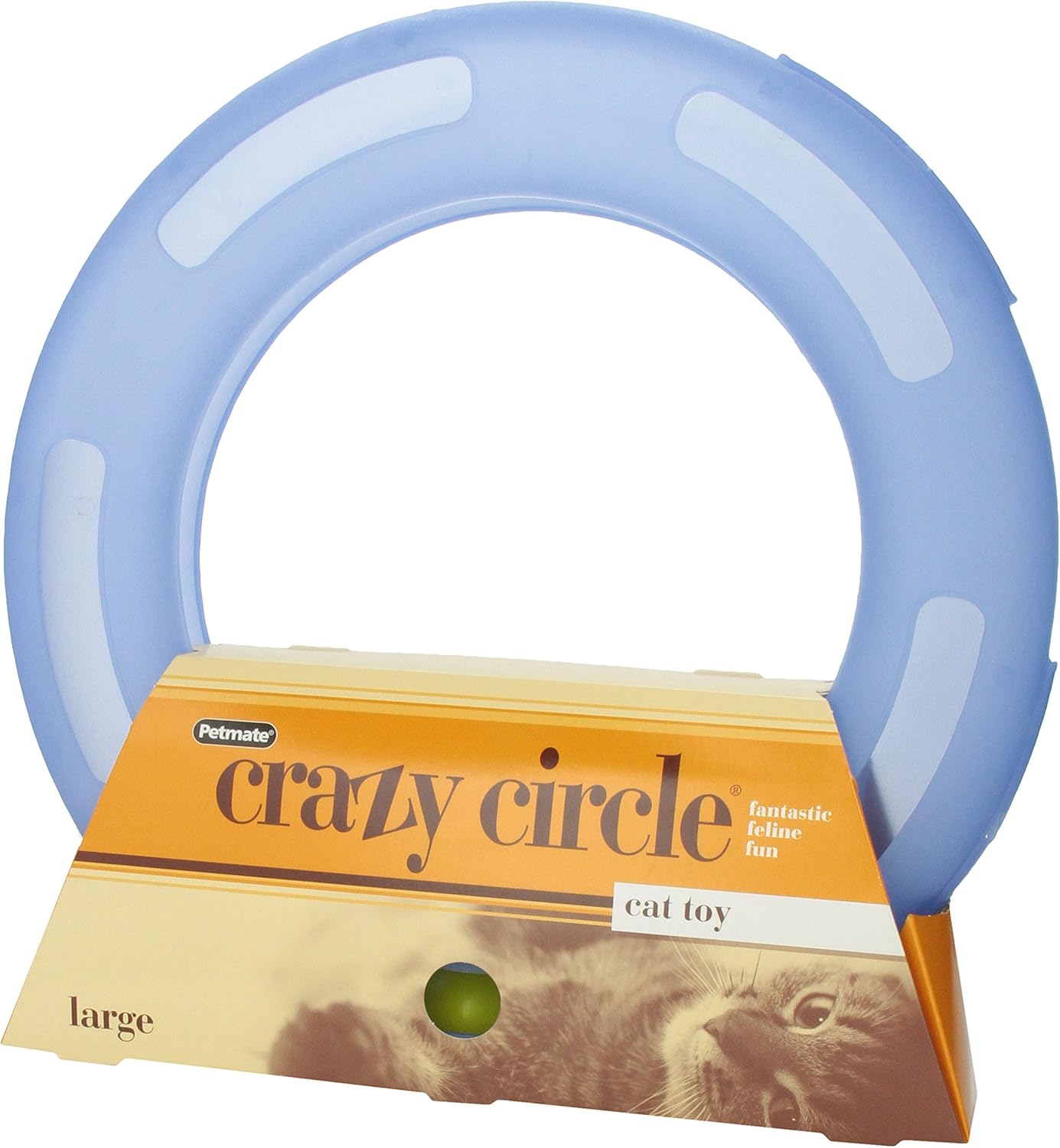 crazy circle cat toy