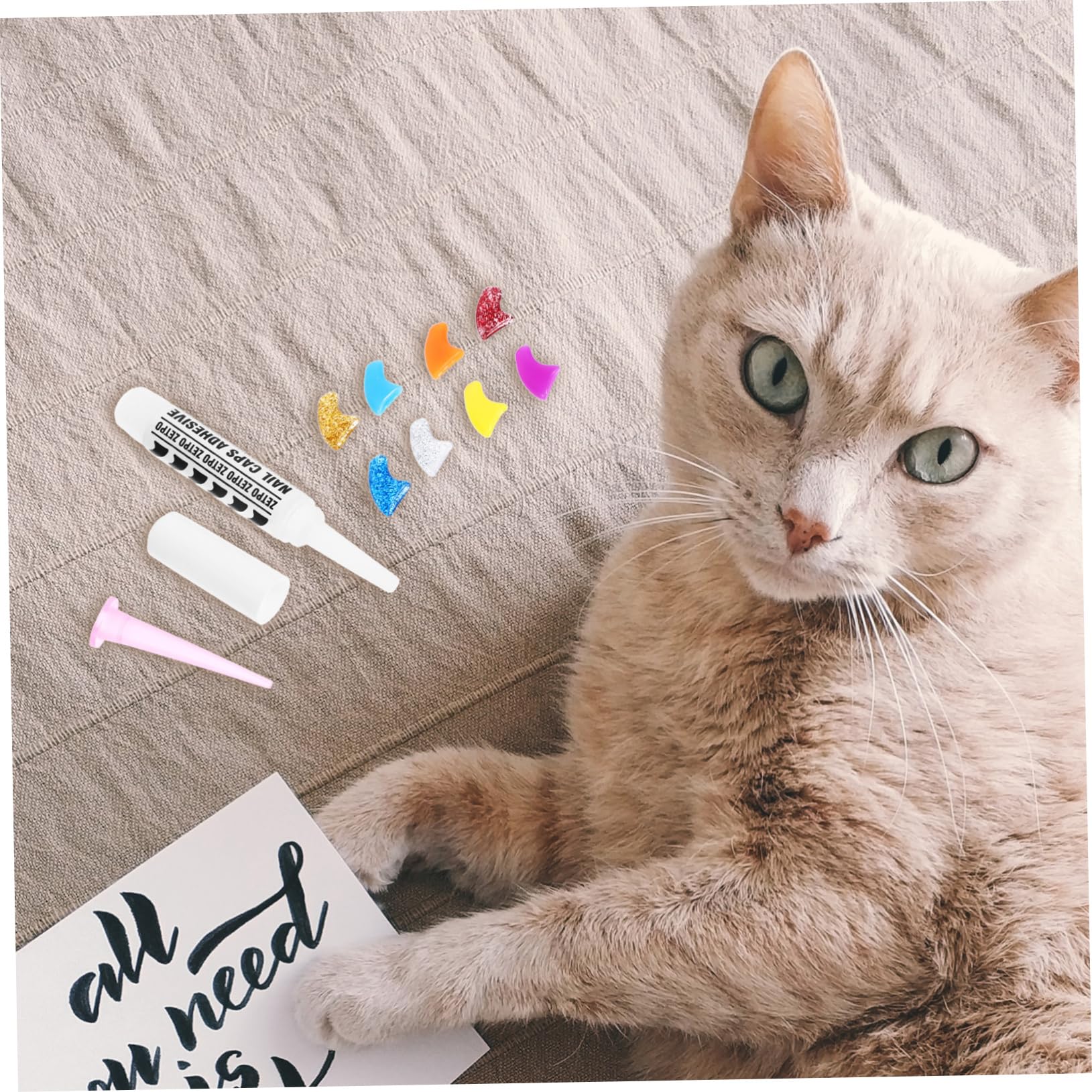 Sosoport 320 Pièces Ensemble d'ongles pour Animaux de Compagnie Couvre-Griffes de Chat Pattes pour Chatons Capsules Ongles Couverture de Griffe pour Animaux de Compagnie Gel de silice
