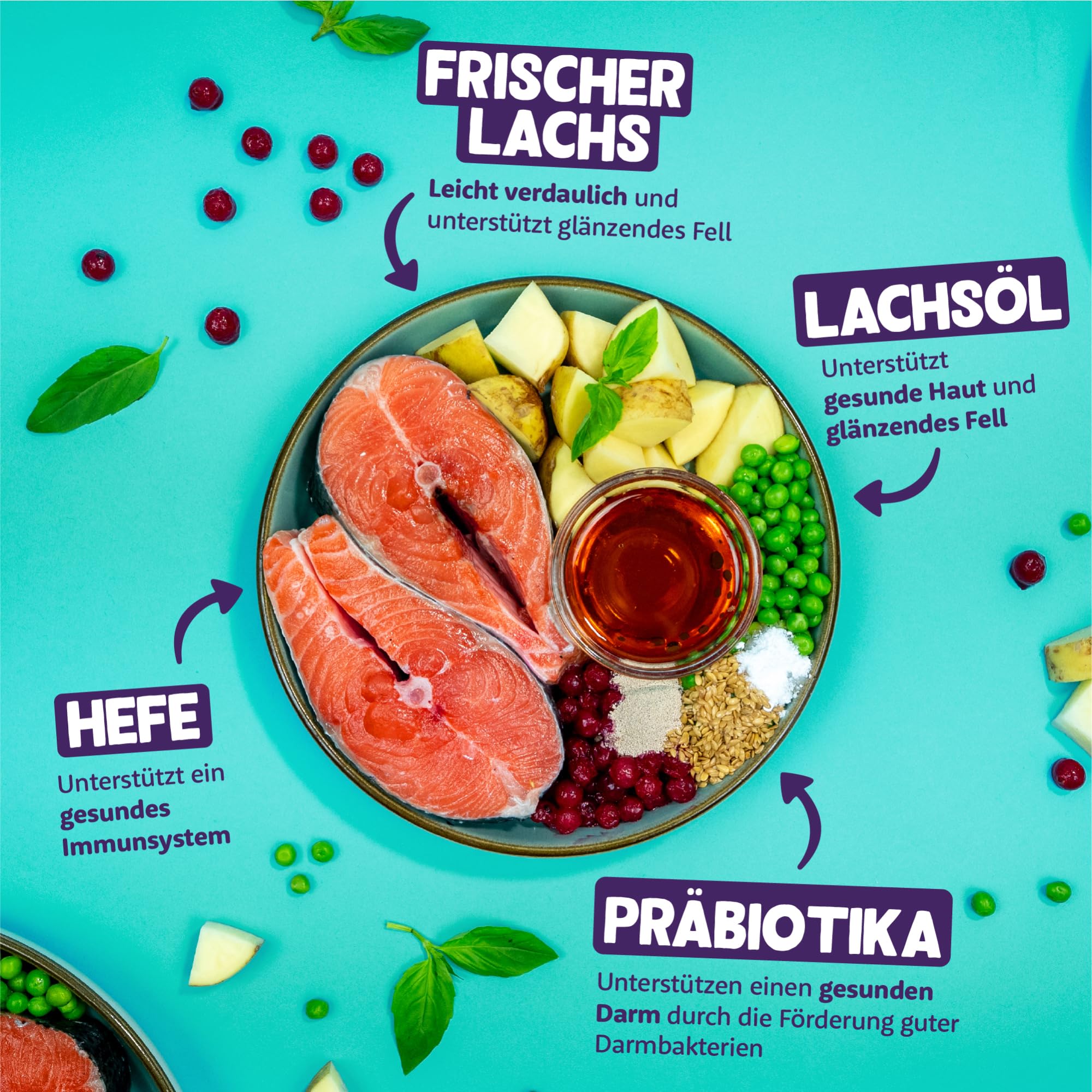 Edgard & Cooper Katzenfutter, Trockenfutter für Katzen, (Lachs, 2kg), Getreidefrei, voll von frischem Fisch und natürlichen Zutaten, geeignet für sterilisierte und aktive Katzen