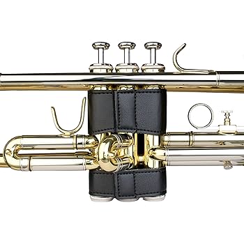 プロテック製 トランペット用６点 革製 バルブ ガード 817N-cbAF6L._UF350,350_QL80_.jpg