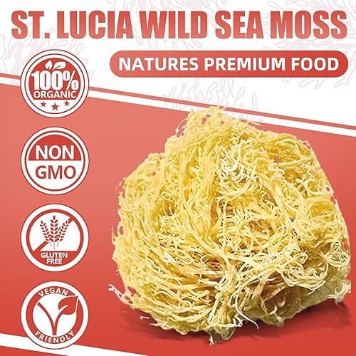Miniatura 5 de NutriVigor Gel de musgo marino, (18 onzas) de musgo marino orgánico avanzado, apoyo inmunológico y digestivo, suplementos de gel de masa marina