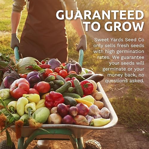 Vista 7 de Semillas de tomate orgánico San Marzano - ¡Dos paquetes de semillas! - Más de 102 semillas de origen polinizado abierto sin OMG - Sweet Yards Seed