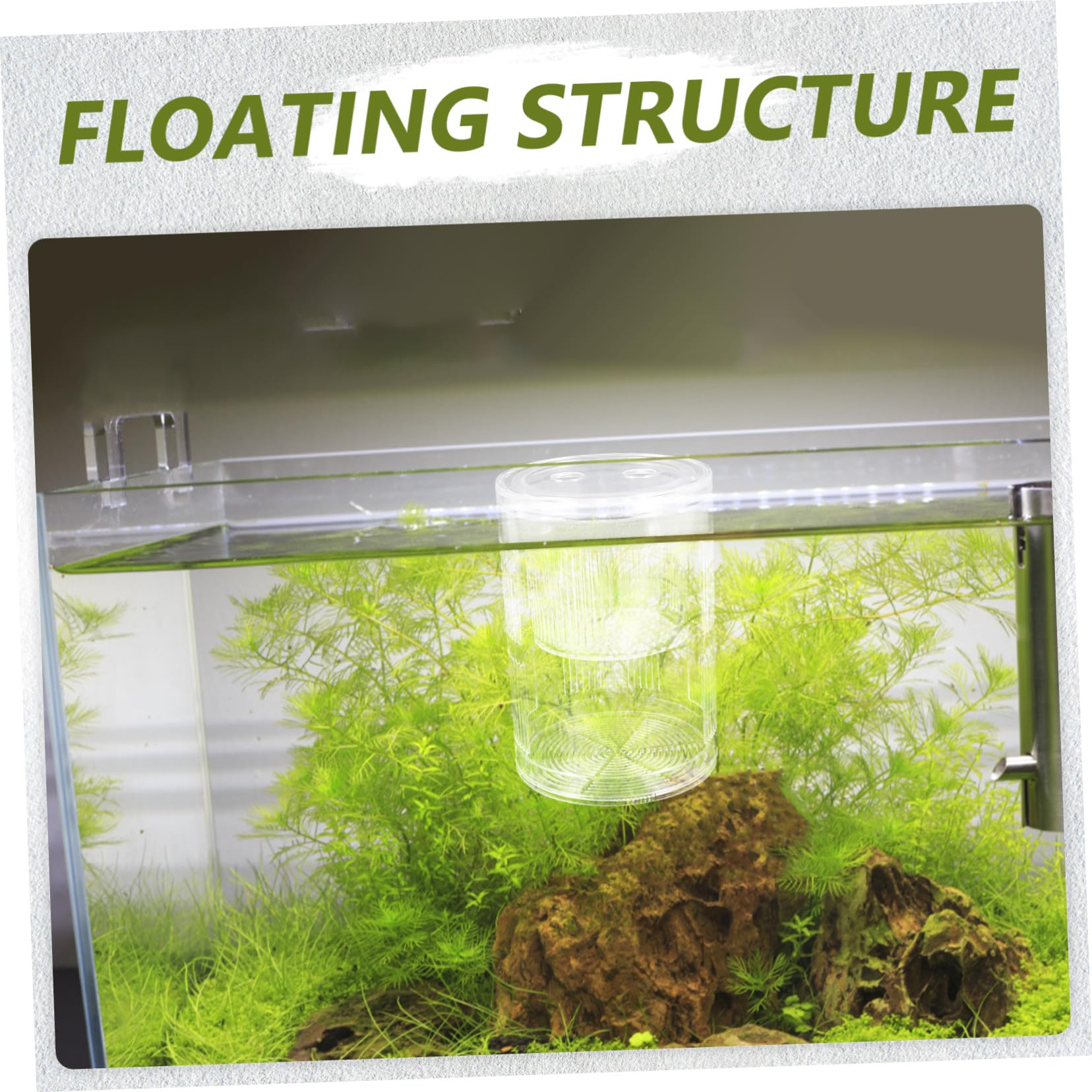 Schwimmende Fischzuchtbox aus Robustem Acryl Isolierende Brutkammer mit Saugnäpfen für Guppy und Betta Wiederverwendbare Aufzucht Brutbox für Aquarien mit Konstantem Wasserfluss