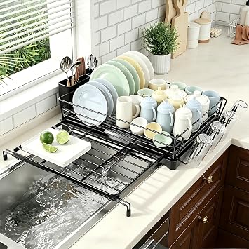 Ekisemio Expandable Dish Drying Rack with Utensil Holder & Drip Tray, Black