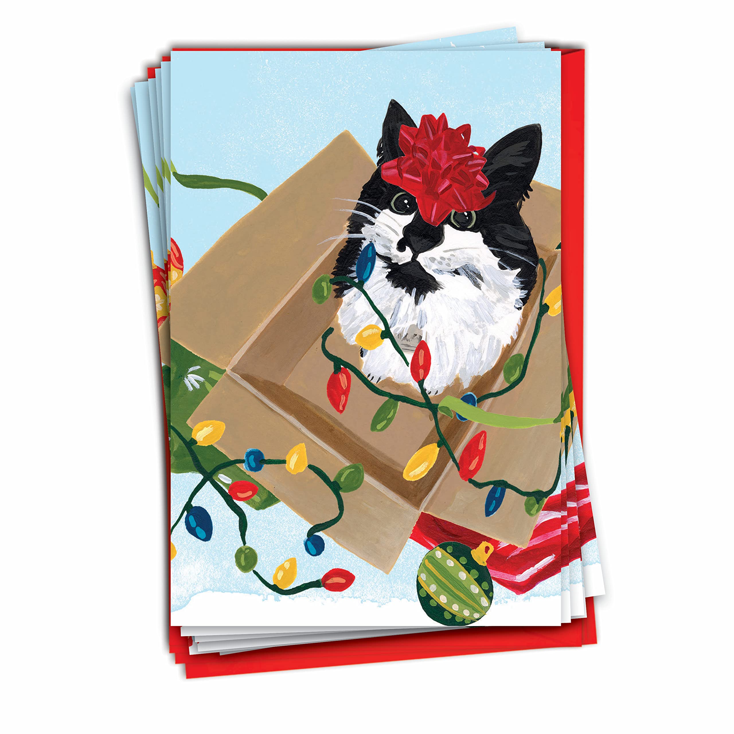 The Best Card CompanyPurr-fect Holiday-Red Bow - 12 Boxed Merry Christmas Greeting Cards with Envelopes (4.63 x 6.75 Inch) - C9555BXSG-B12x1