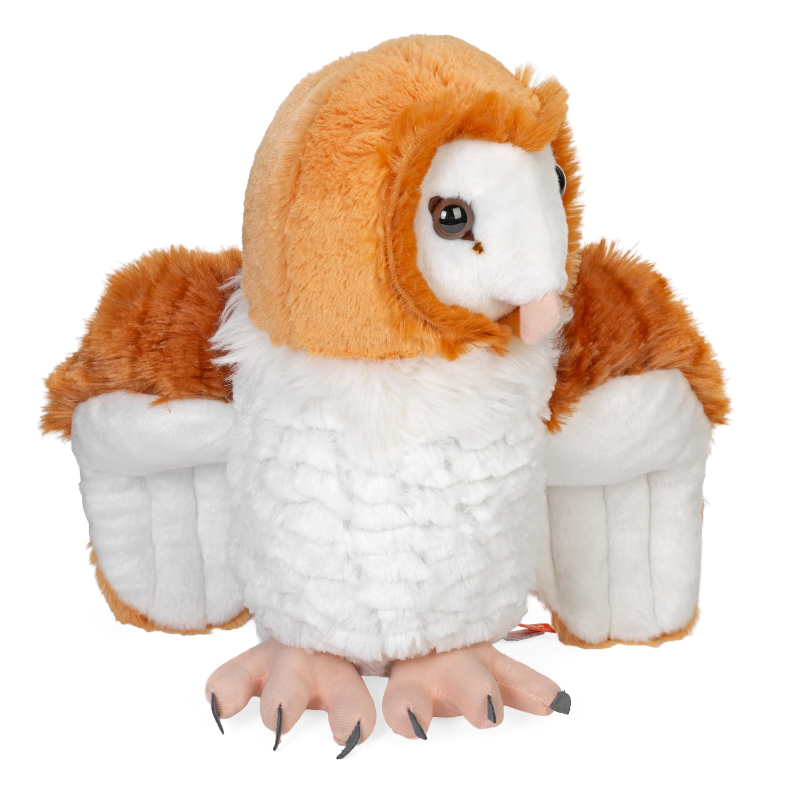Amazon.co.jp: CK BARN OWL 12 : おもちゃ