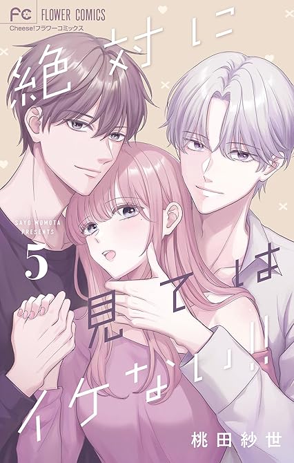 『絶対に見てはイケない！！ 5』の表紙イラスト 電子書籍 漫画