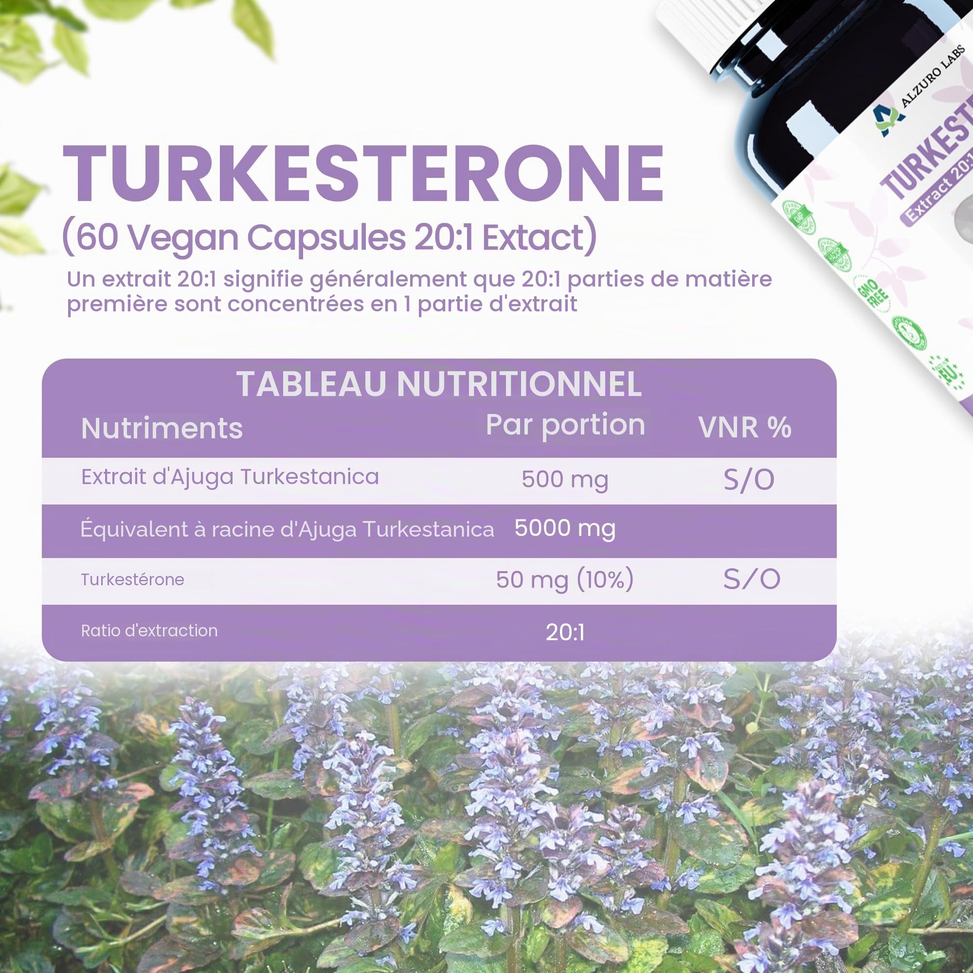 Turkesterone | 5,000mg Equivalent | 50mg Turkesterone per Capsule (10% Standardised) | 500mg 10:1 Ajuga Turkestanica Extract | 60 Vegan Capsules | GMP & Testé en Laboratoire Indépendant