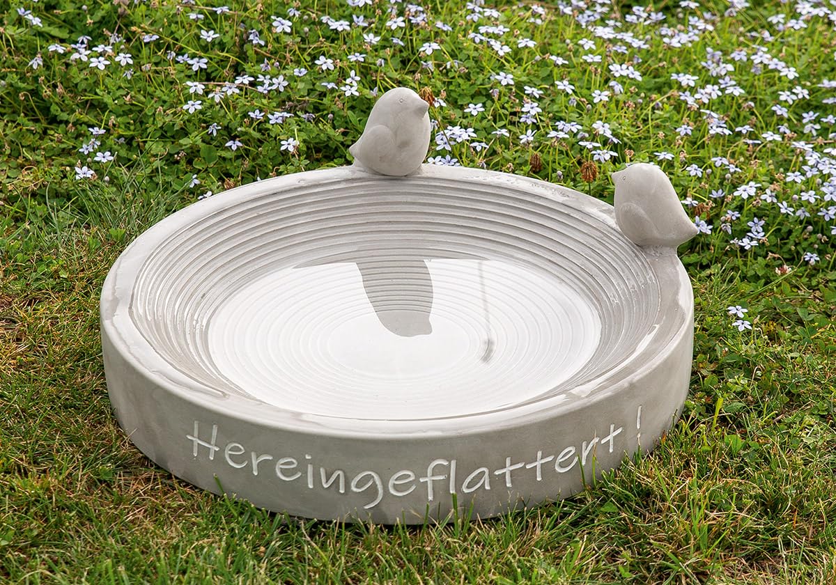 Generisch Vogeltränke Hereingeflattert Vogel Wildtiere Beton 31 cm