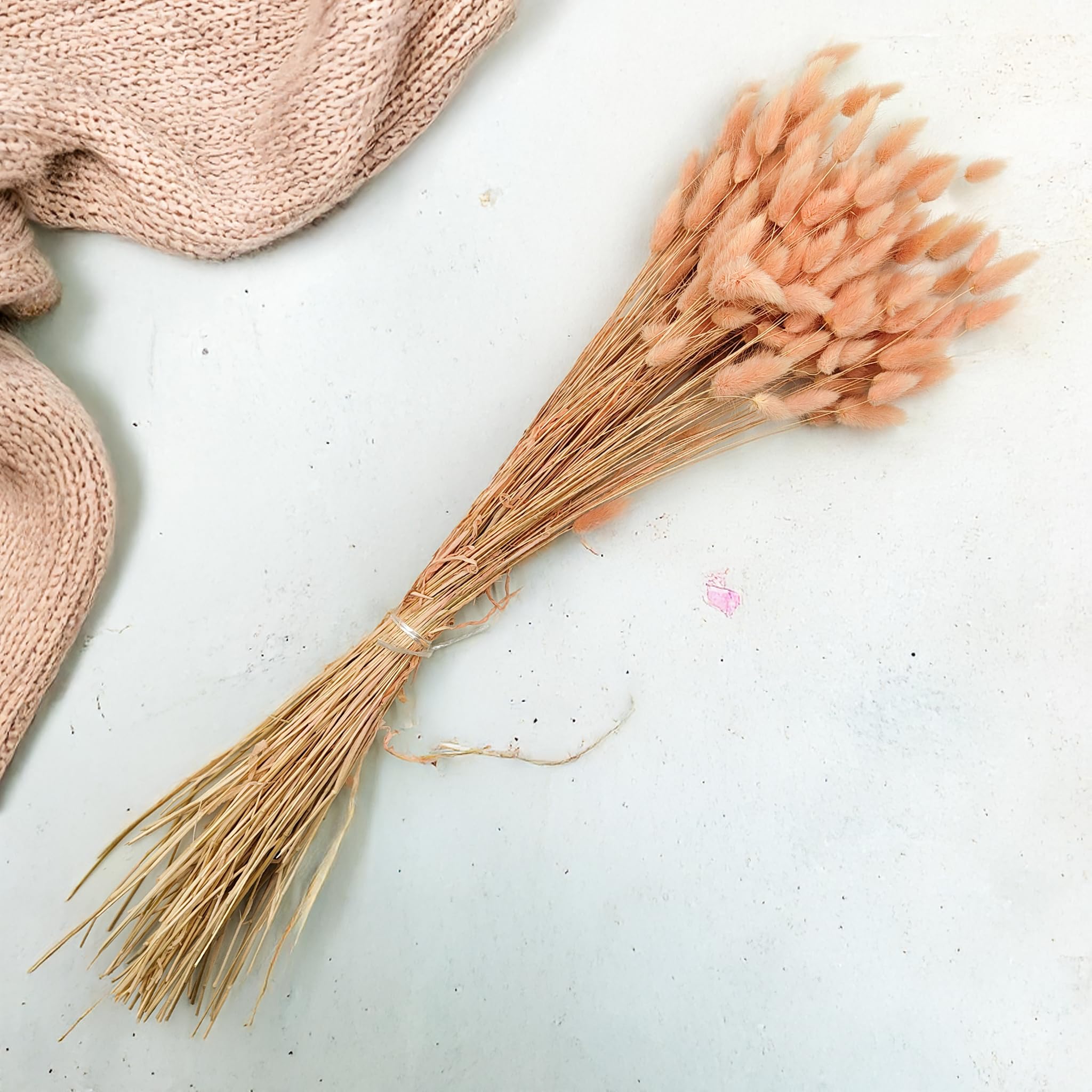 Enchanted Dekogras Getrocknetes Gras Ziergras Hasenschwänze Lagurus Ovatus Samtgras Häschen-Schwanzgras Trockenblumen Natürlich Boho 120 - 150 Stück 100 g Lachsrosa