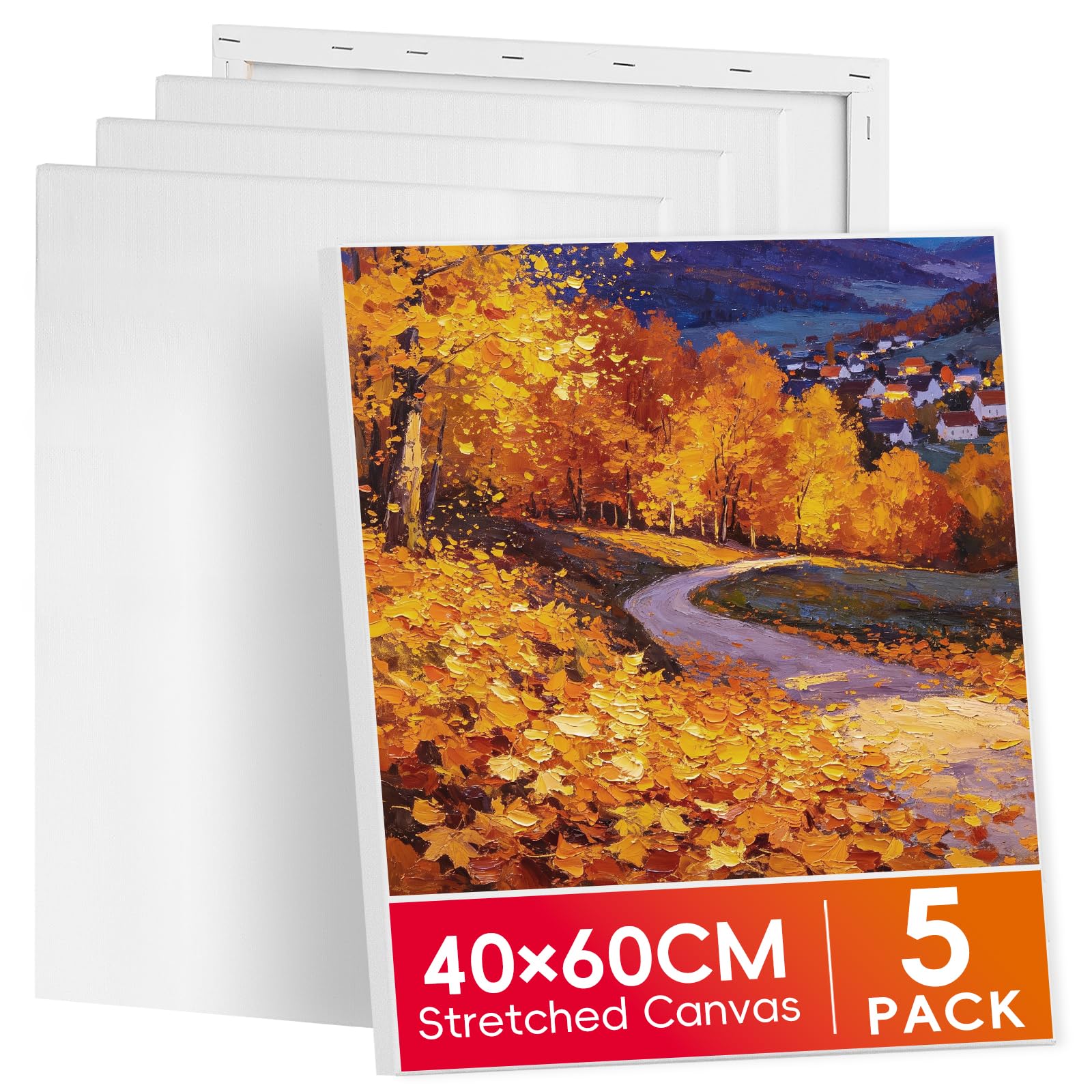 RITOLLO 5 Pack 40x60cm Large Stretched Canvas for Painting
