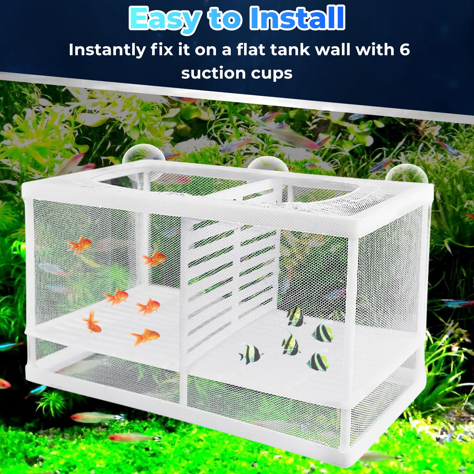 Feibety Aquarium Fish Breeder Net, Breeding Box with Nylon Mesh & Suction Cups, Separation Net, Large Mesh Net Fry Saver - Image 3