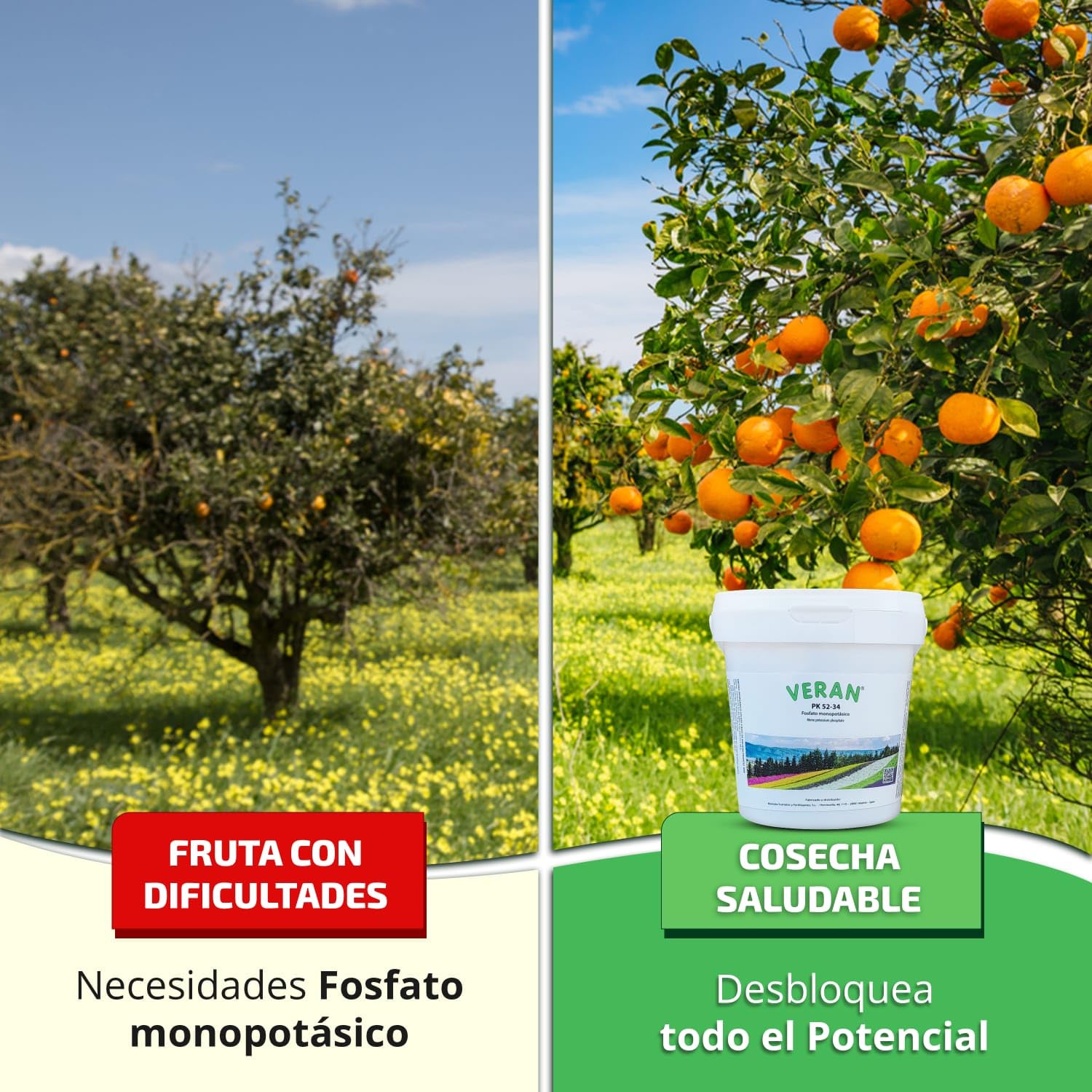 VERAN | Fertilizante Plantas de Flor, Citricos y Huerto PK52-34 | 1KG | Estimula el Crecimiento y el Florecimiento | Hidrosoluble Cristalino Monopotasico + Fosforo | Abono de Fosforo y Potasio