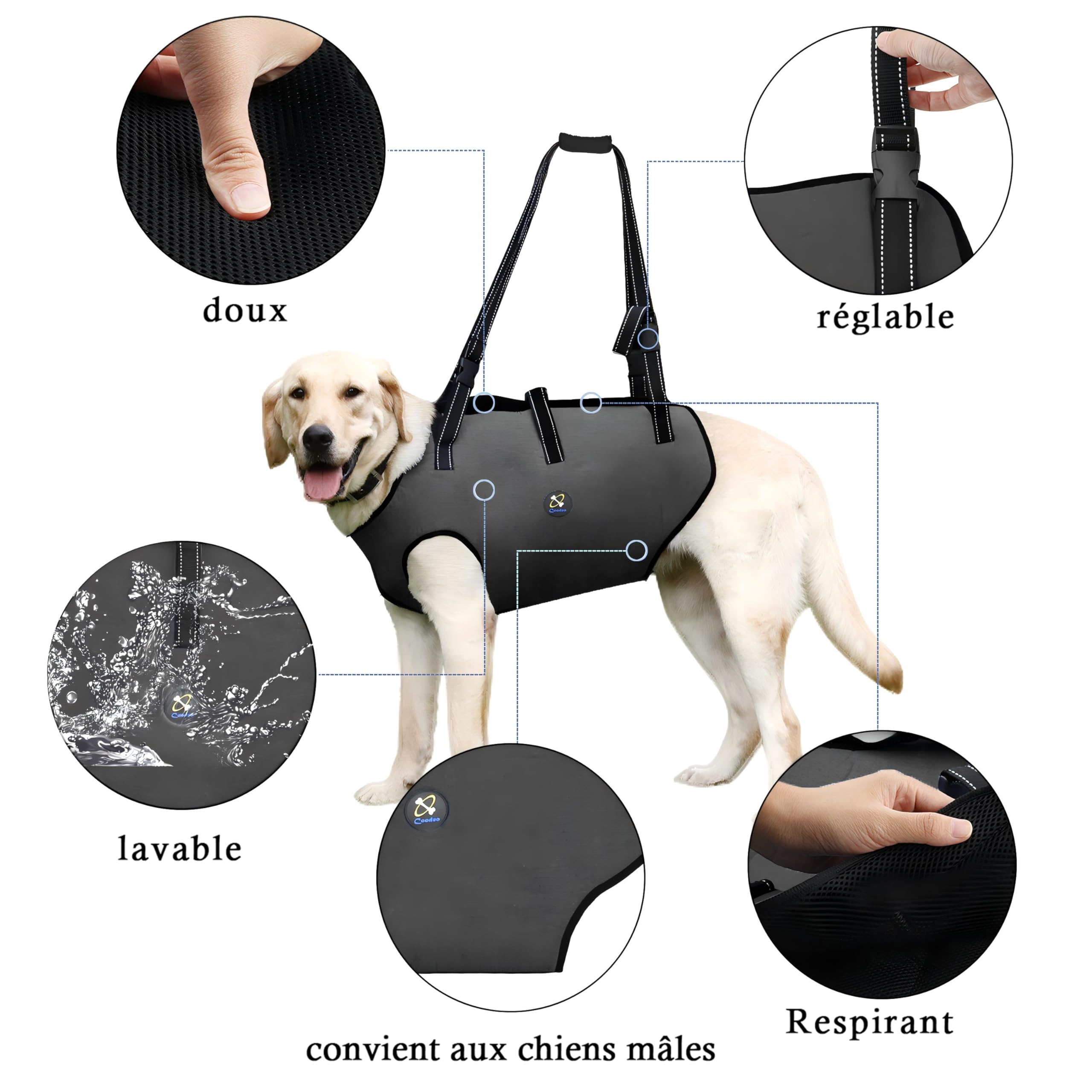 Coodeo Harnais de Levage pour Chien, Sangles Ajustables et Rembourrées, Support Respirant pour Chiens Âgés, Handicapés, Blessures Articulaires, Arthrite, Perte de Stabilité (Gris, XS)
